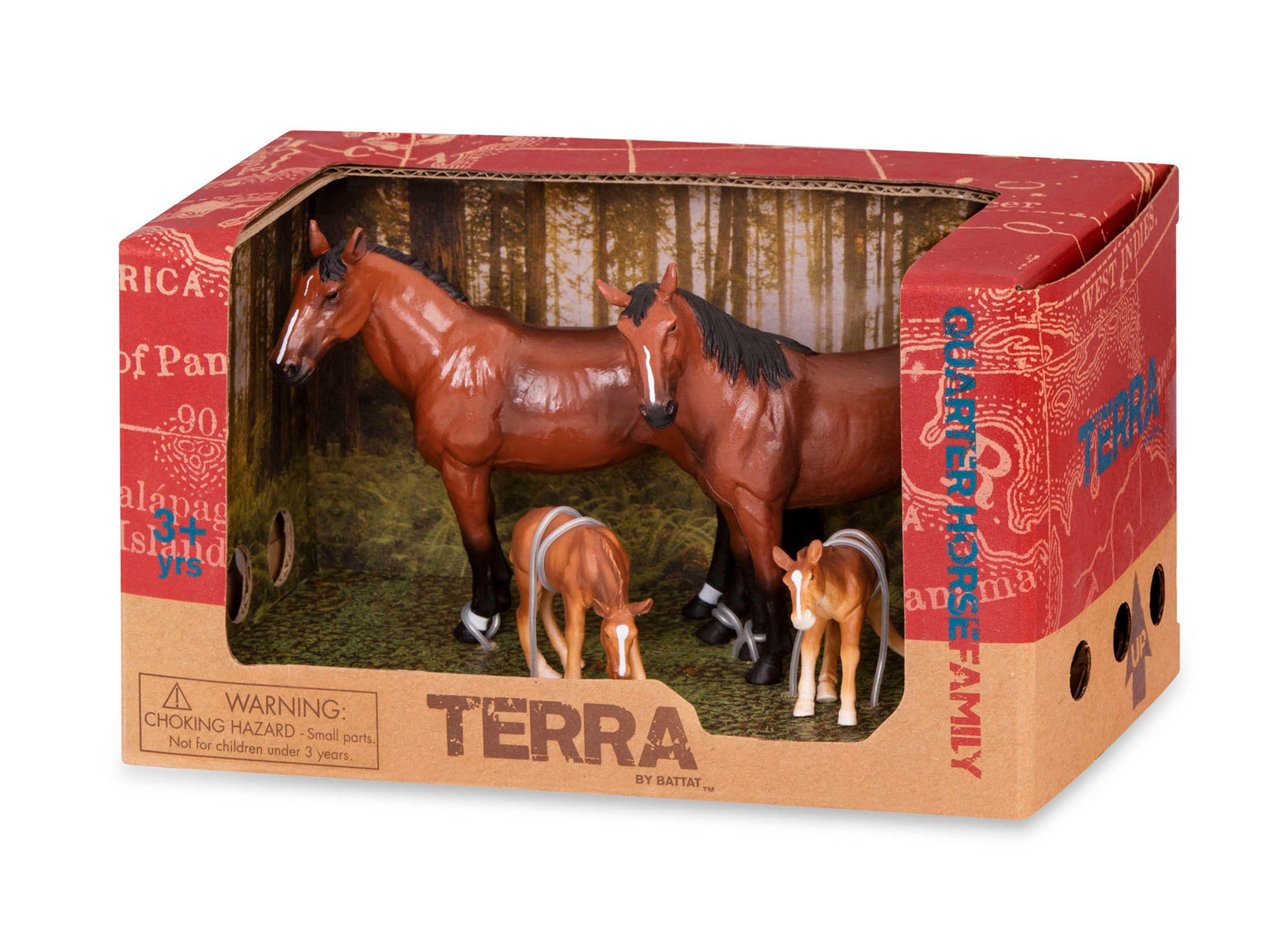 Terra Familia de caballos Caramba-1