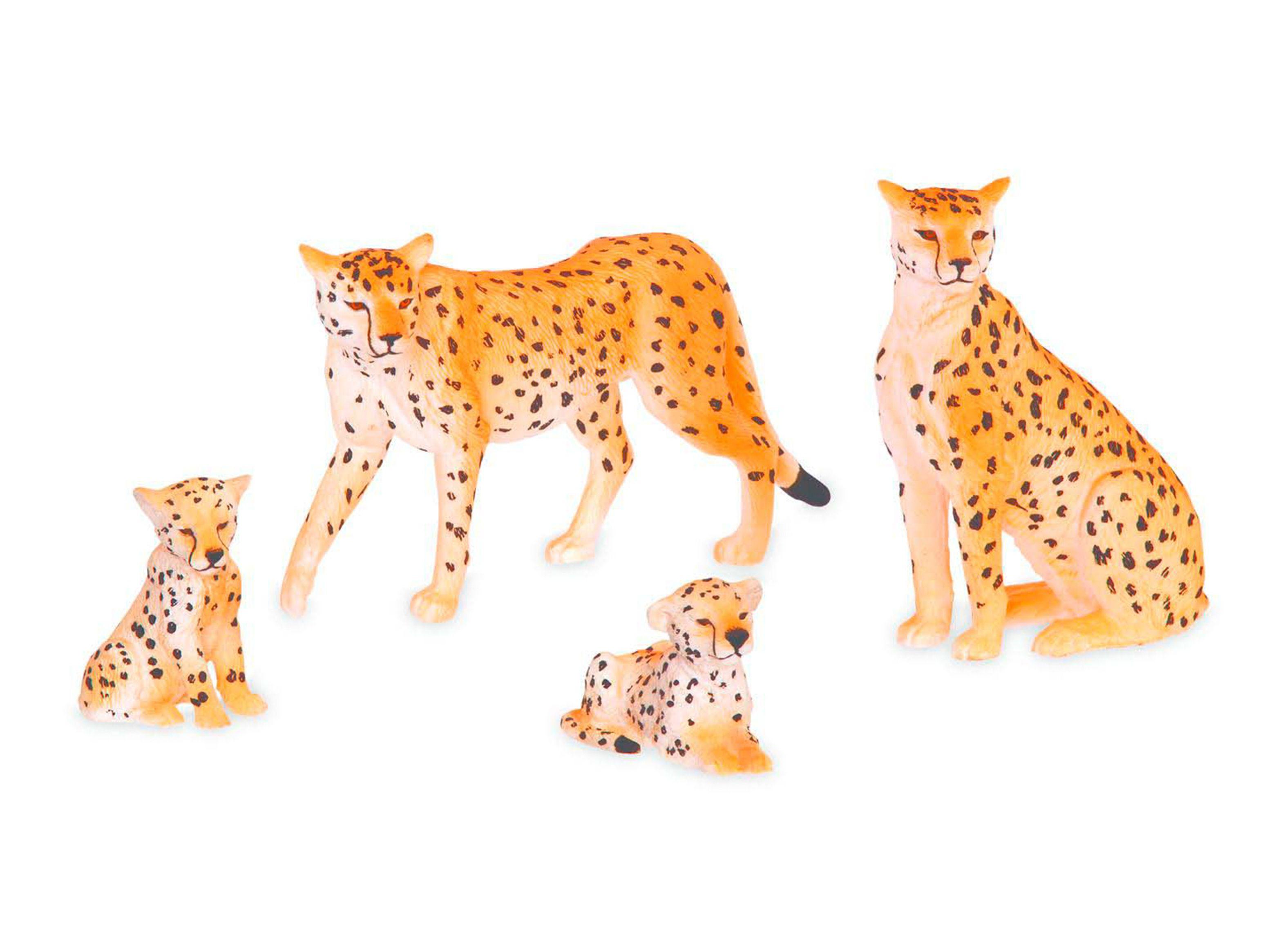 Terra Familia de Cheetas Caramba-0