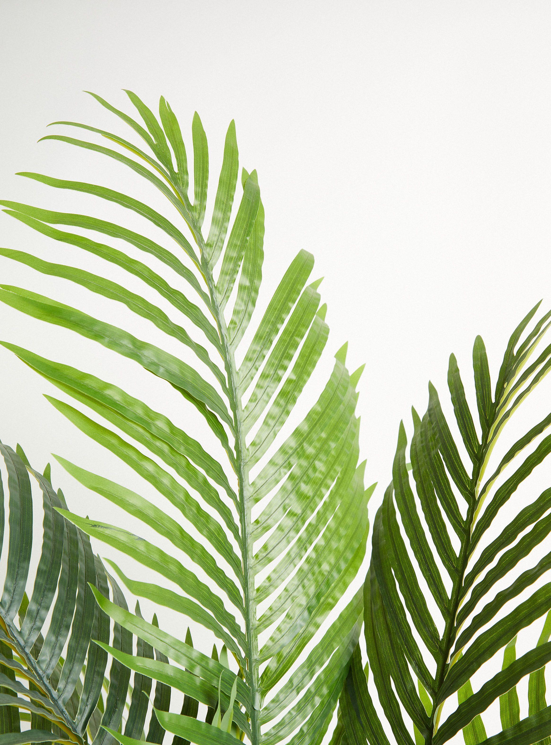 Planta Palmera 120 cm-2