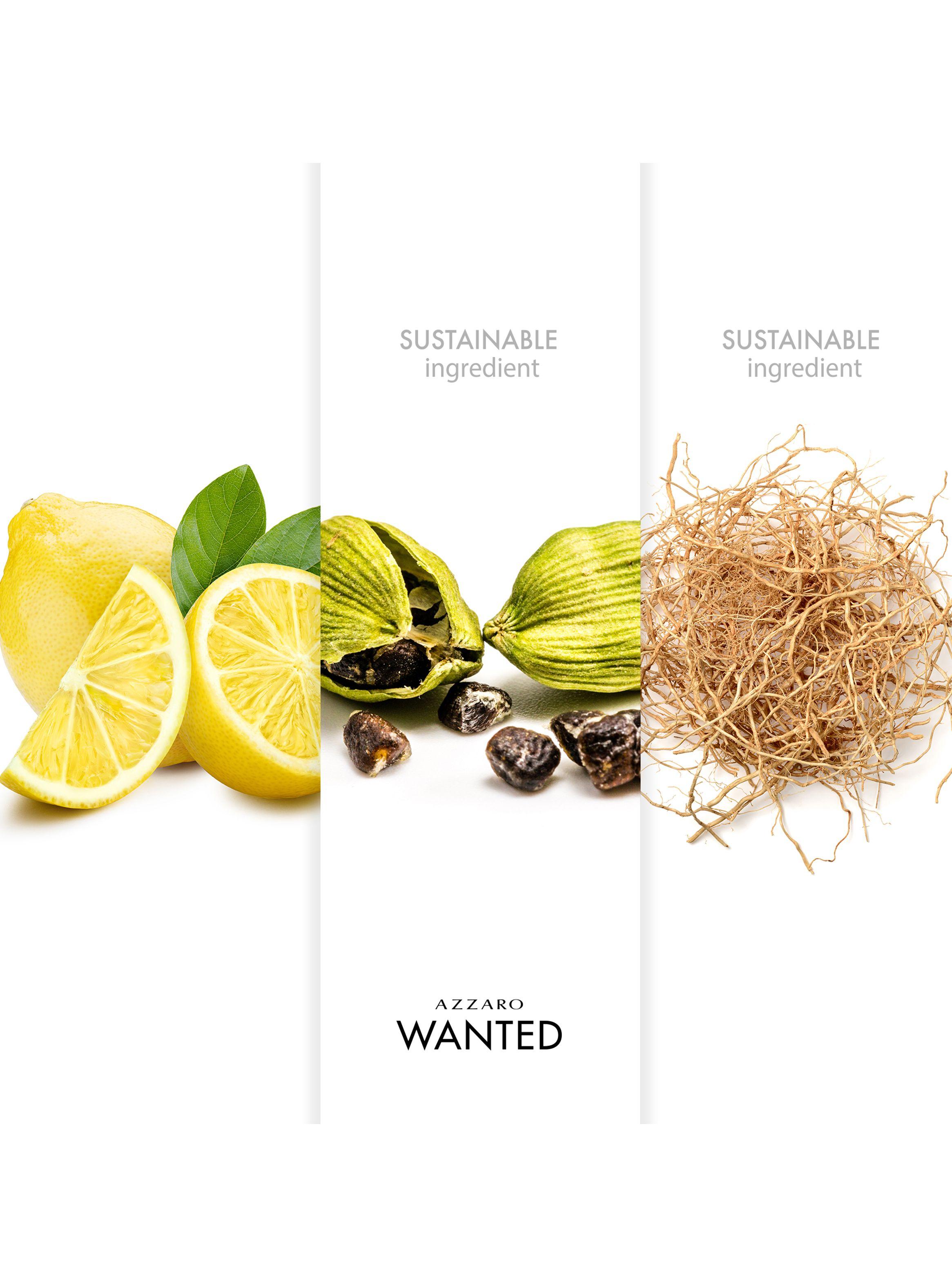 Perfume Wanted EDT Hombre 50 ml Refill-2
