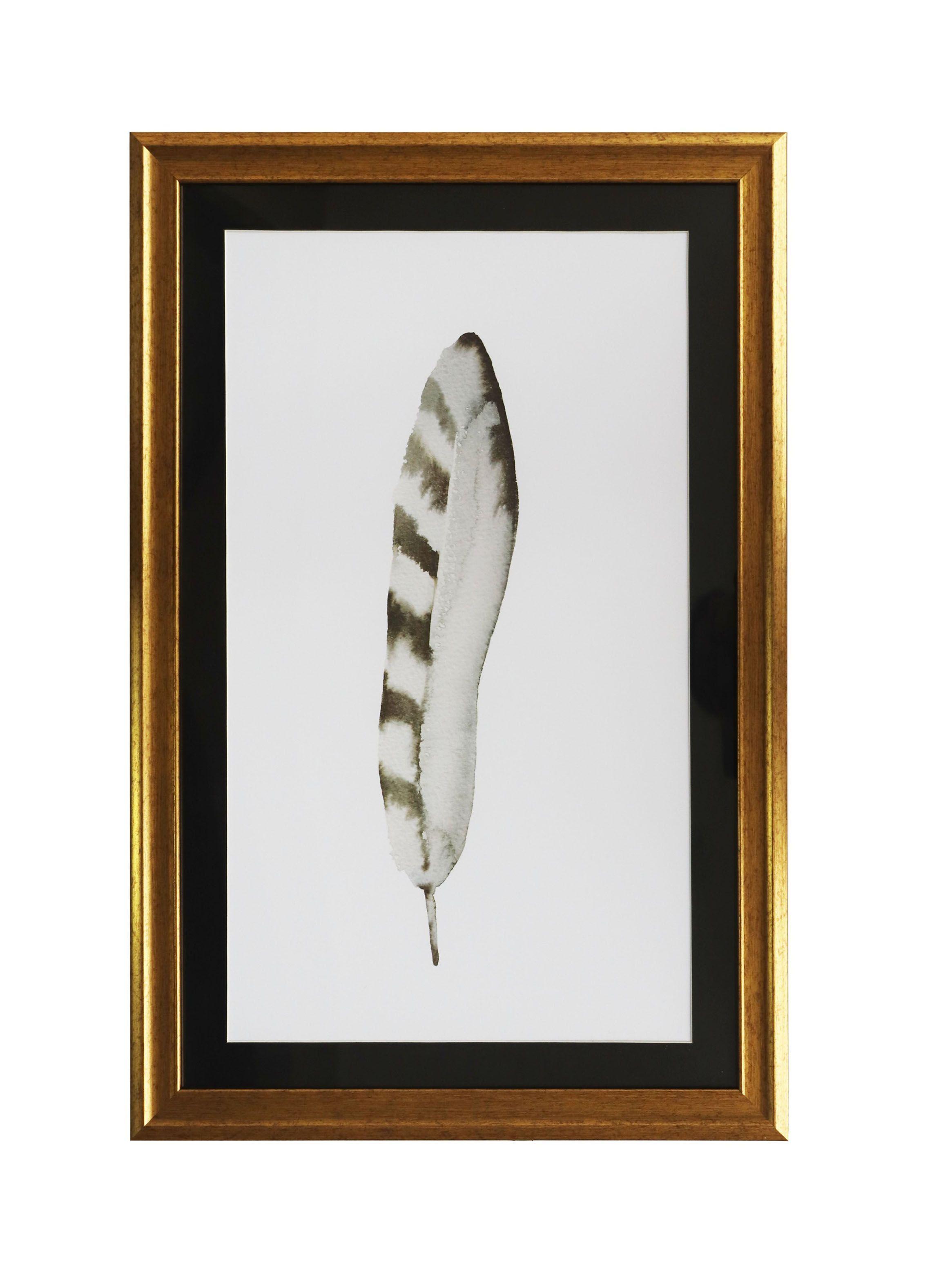 Cuadro Pluma Media Raya 40 x 60 cm-0