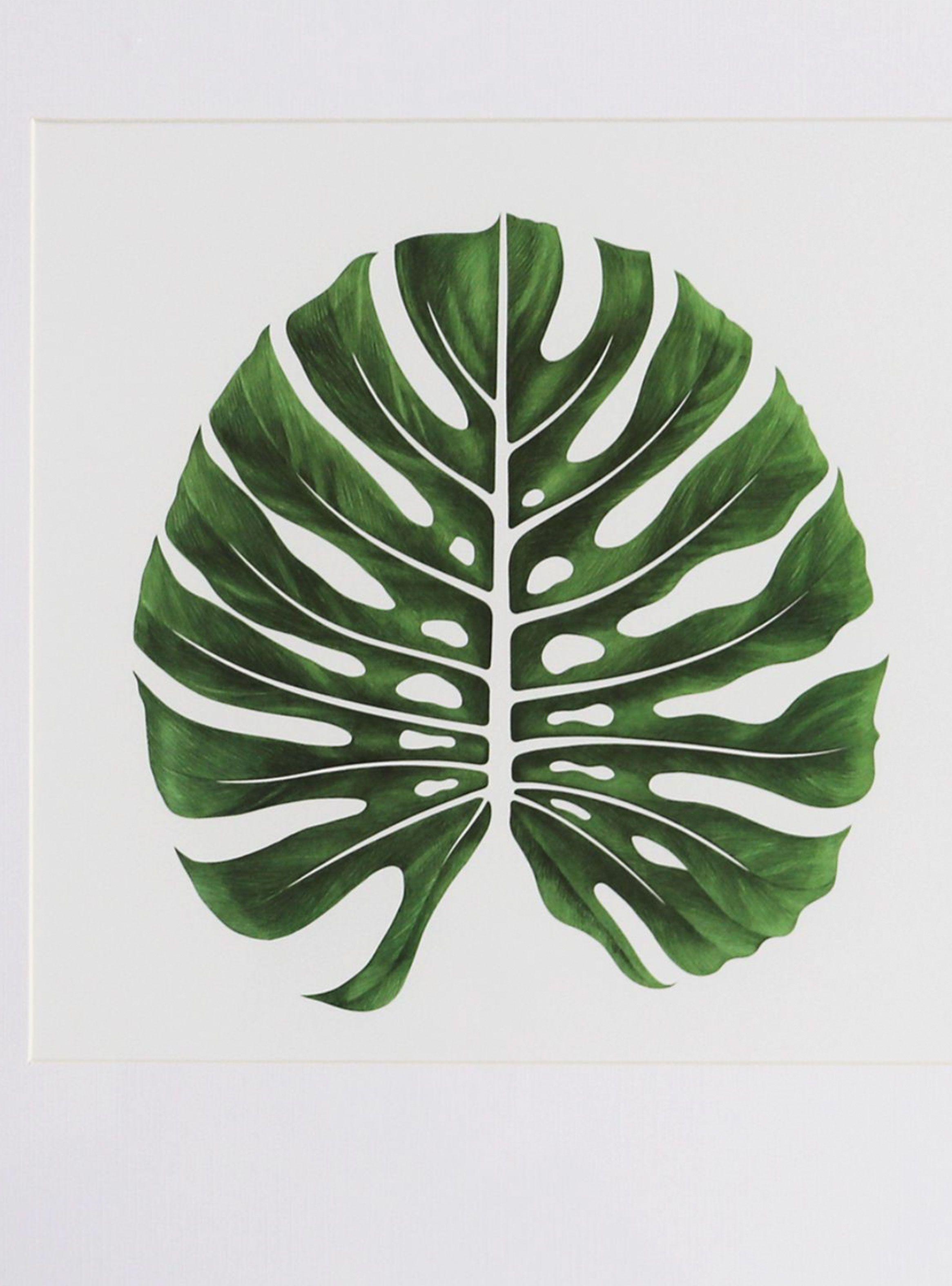 Cuadro Attimo Una Hoja 50 x 50 cm-2