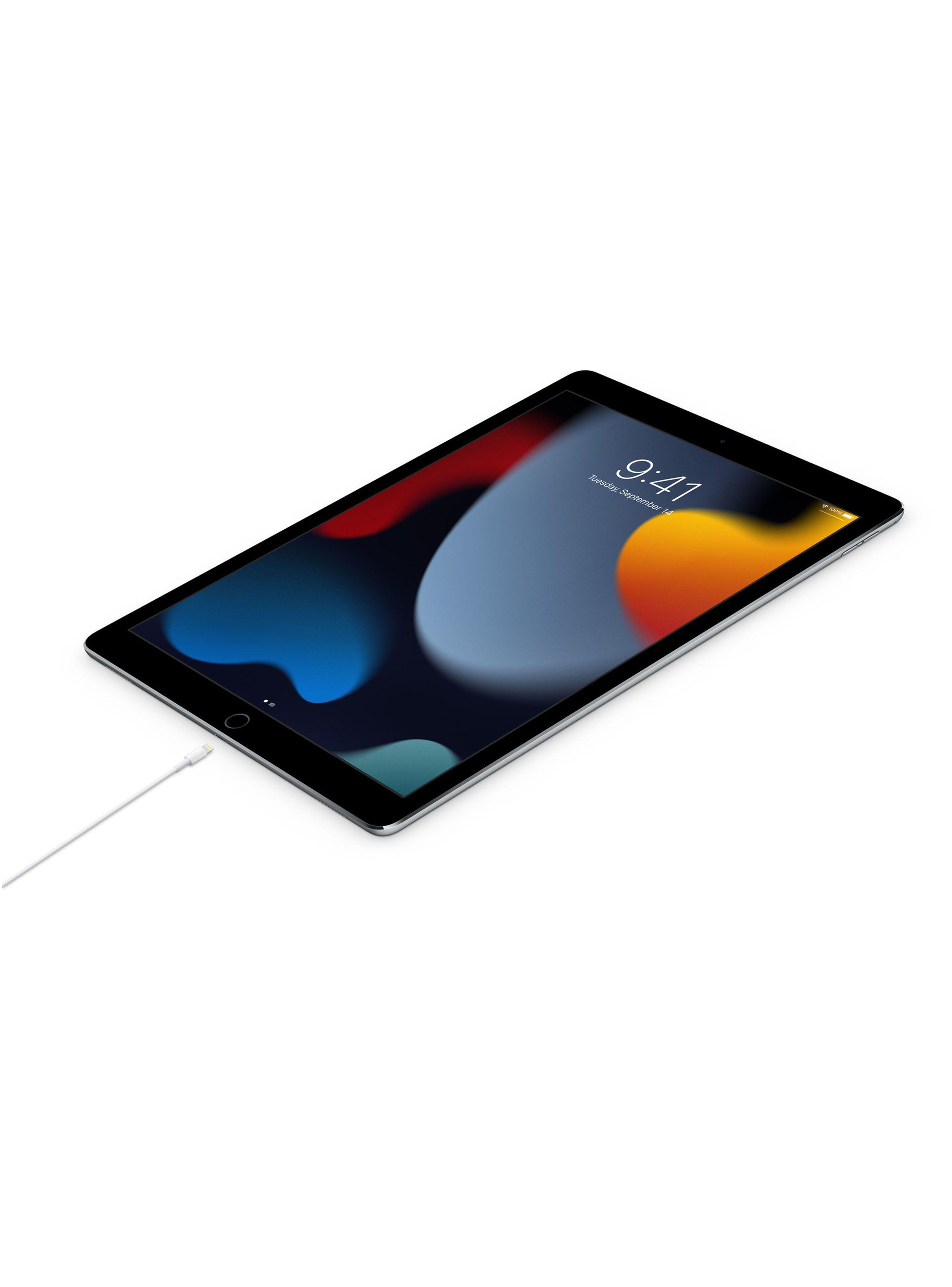 Apple Cable de USB-C a Lightning 1m-3