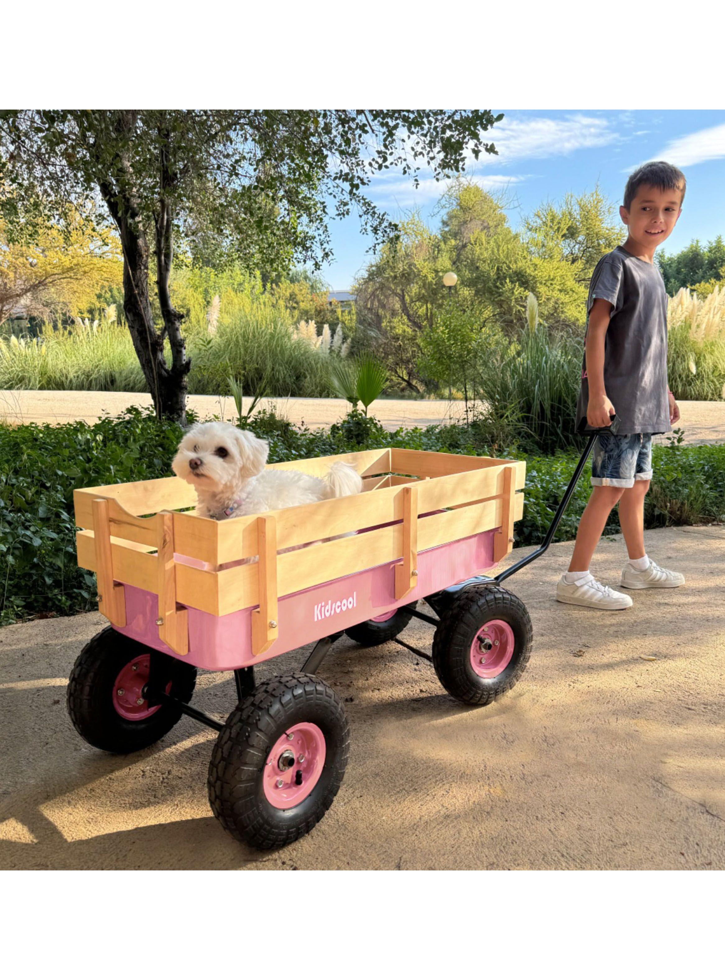Carro de Arrastre Wagon Rosado-4