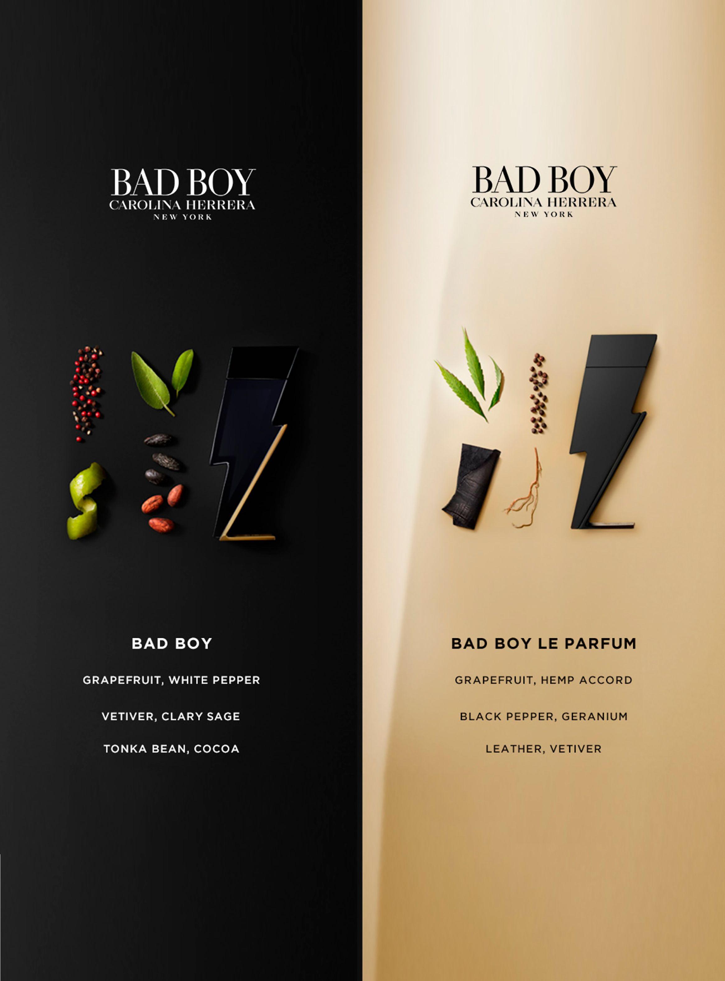 Perfume Carolina Herrera Bad Boy Le Parfum EDP 100 ml-5