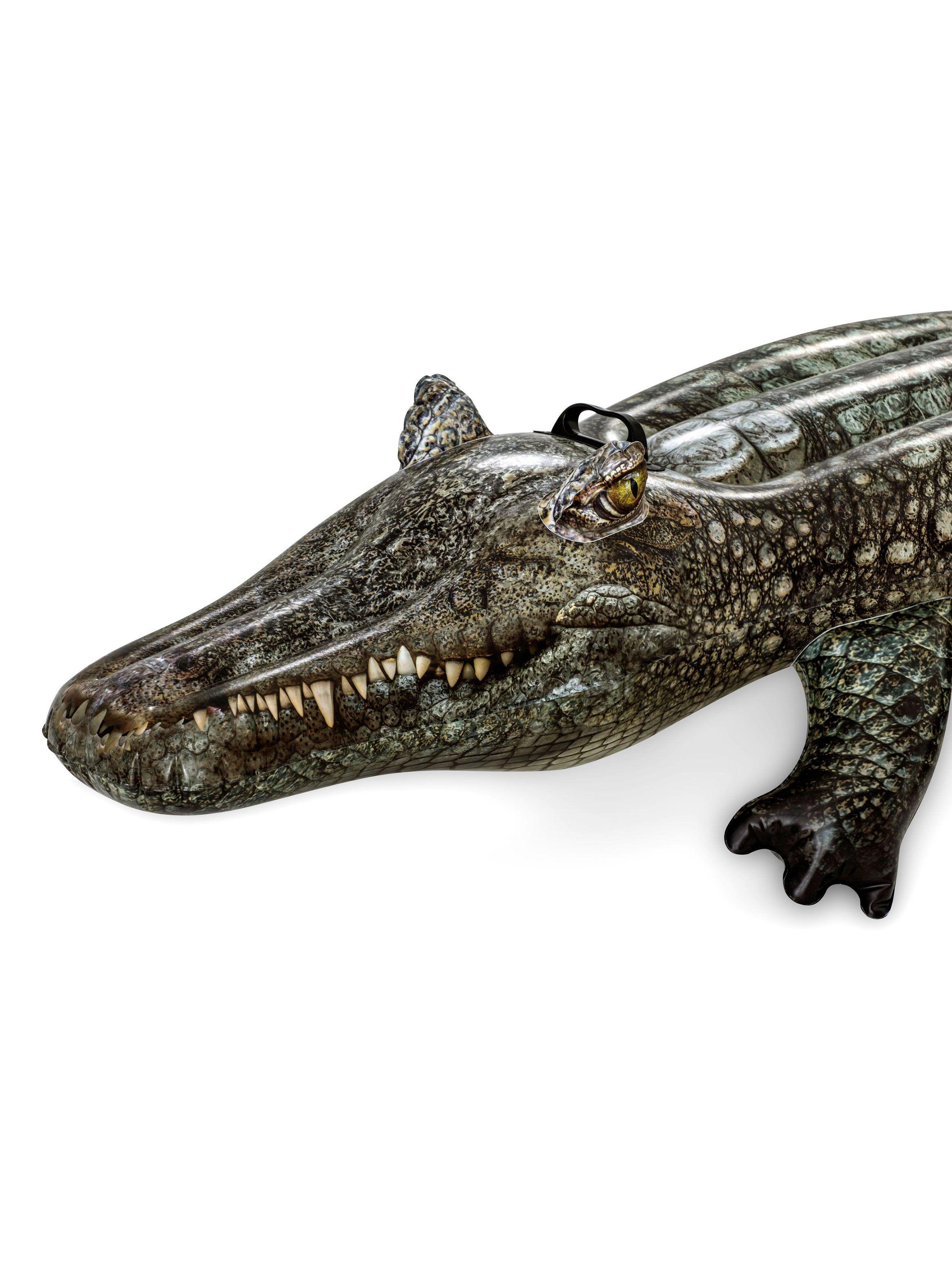 Flotador Forma Cocodrilo-3