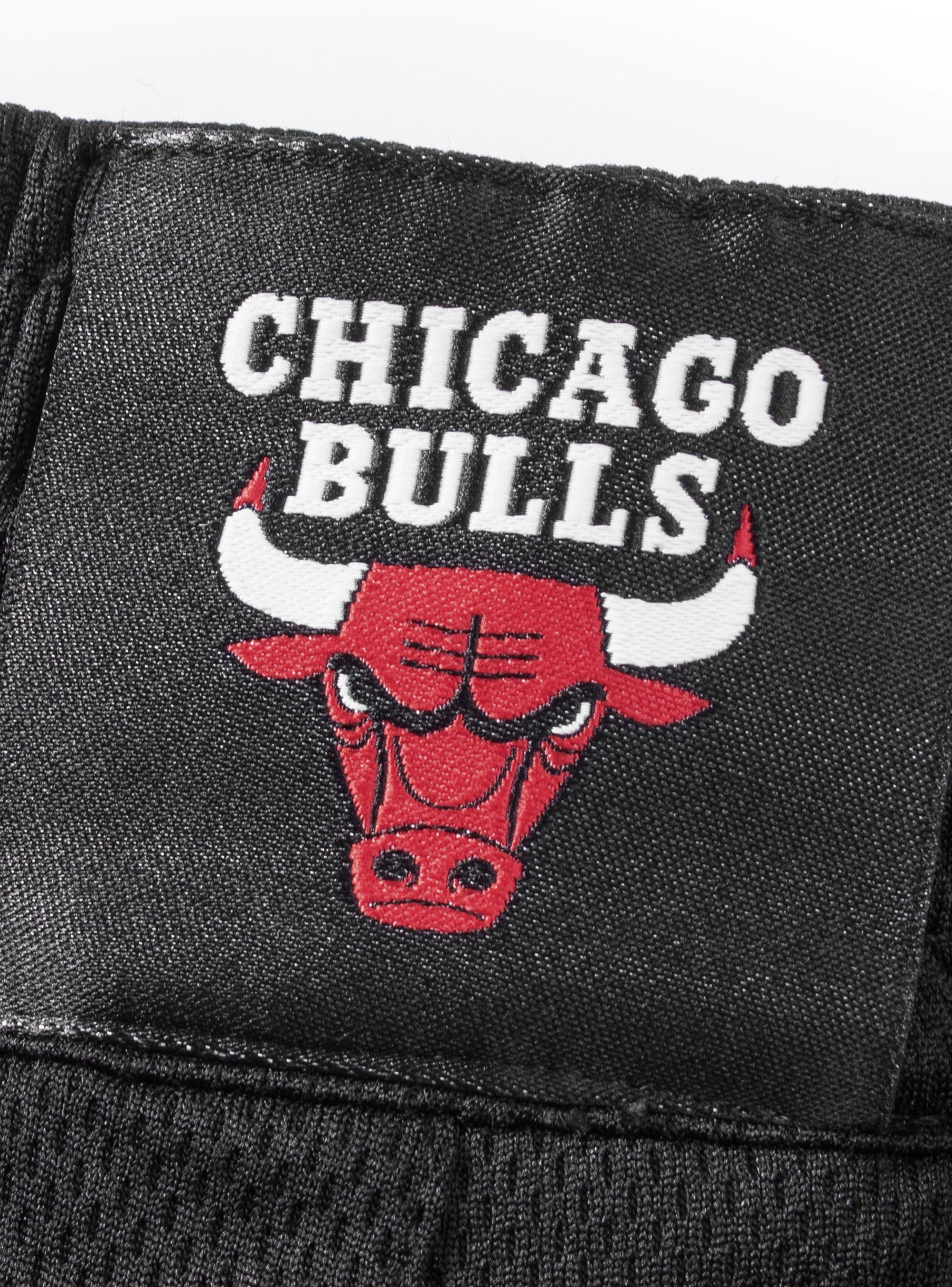 Short Wordmark Logo Chigado Bulls-2