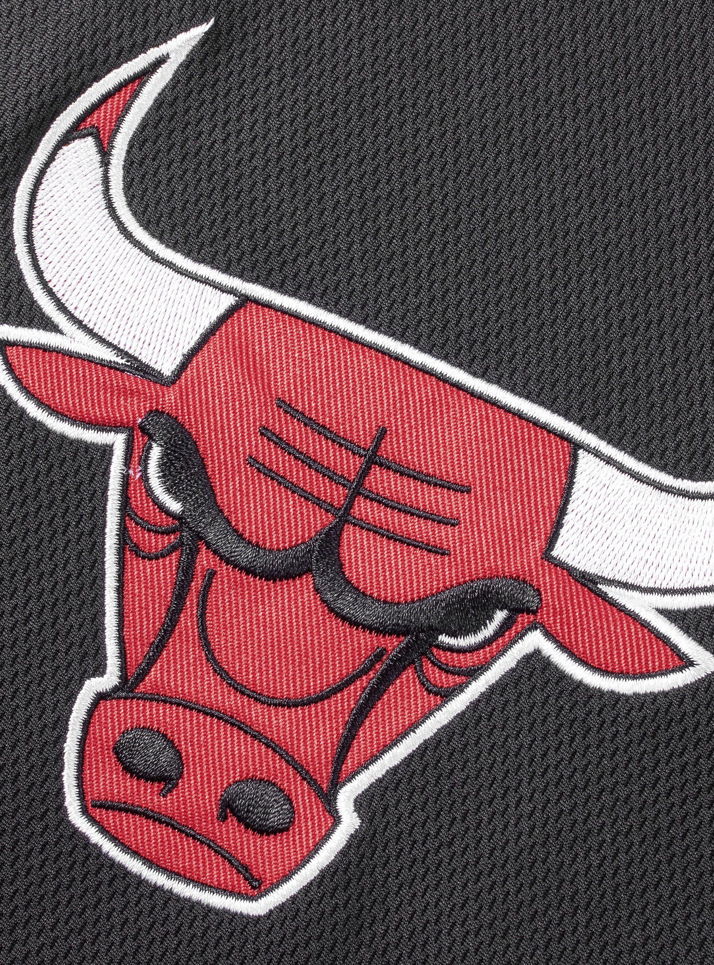 Short Wordmark Logo Chigado Bulls-3