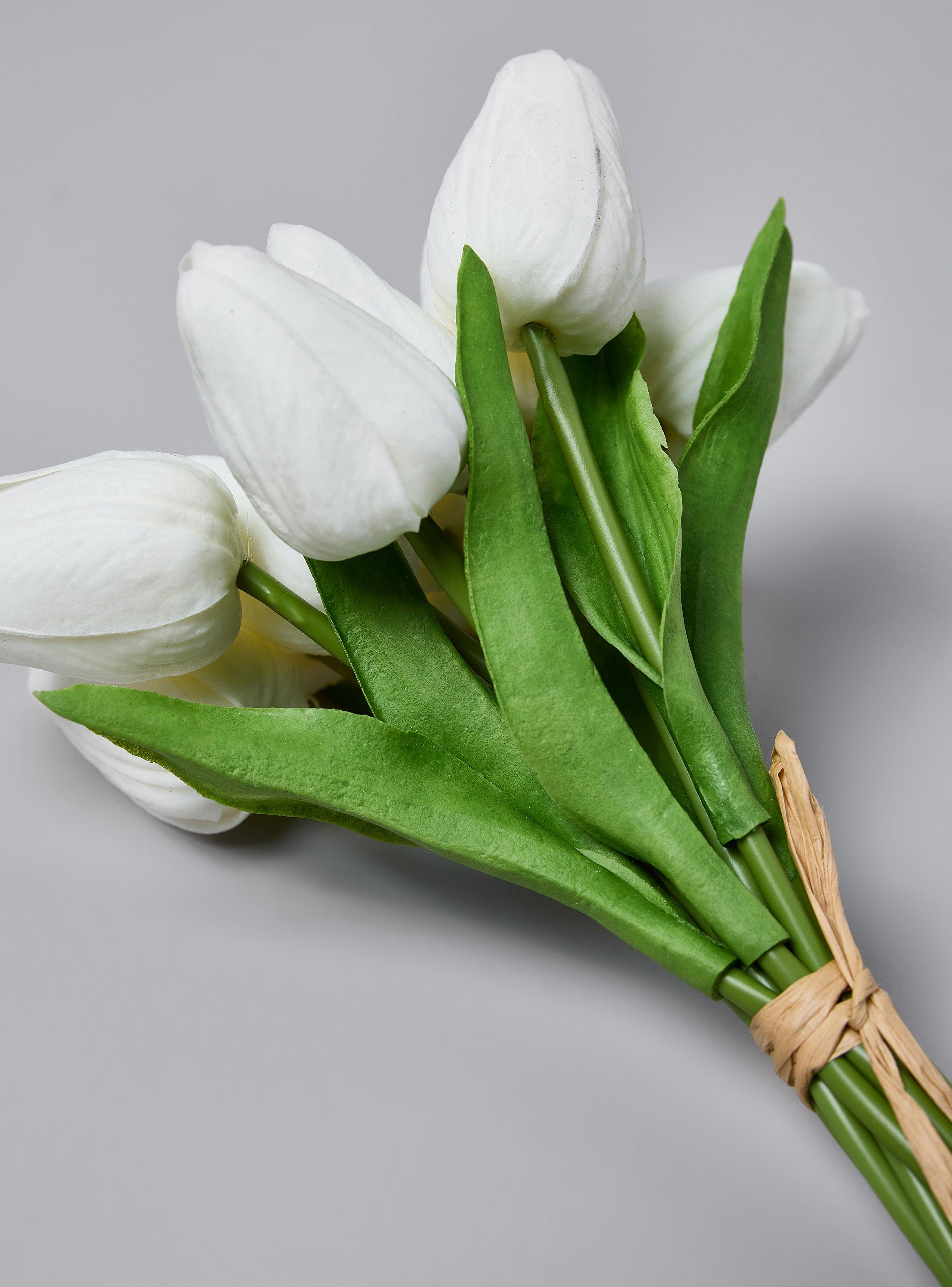 Ramo 12 Tulipanes Blanco-2