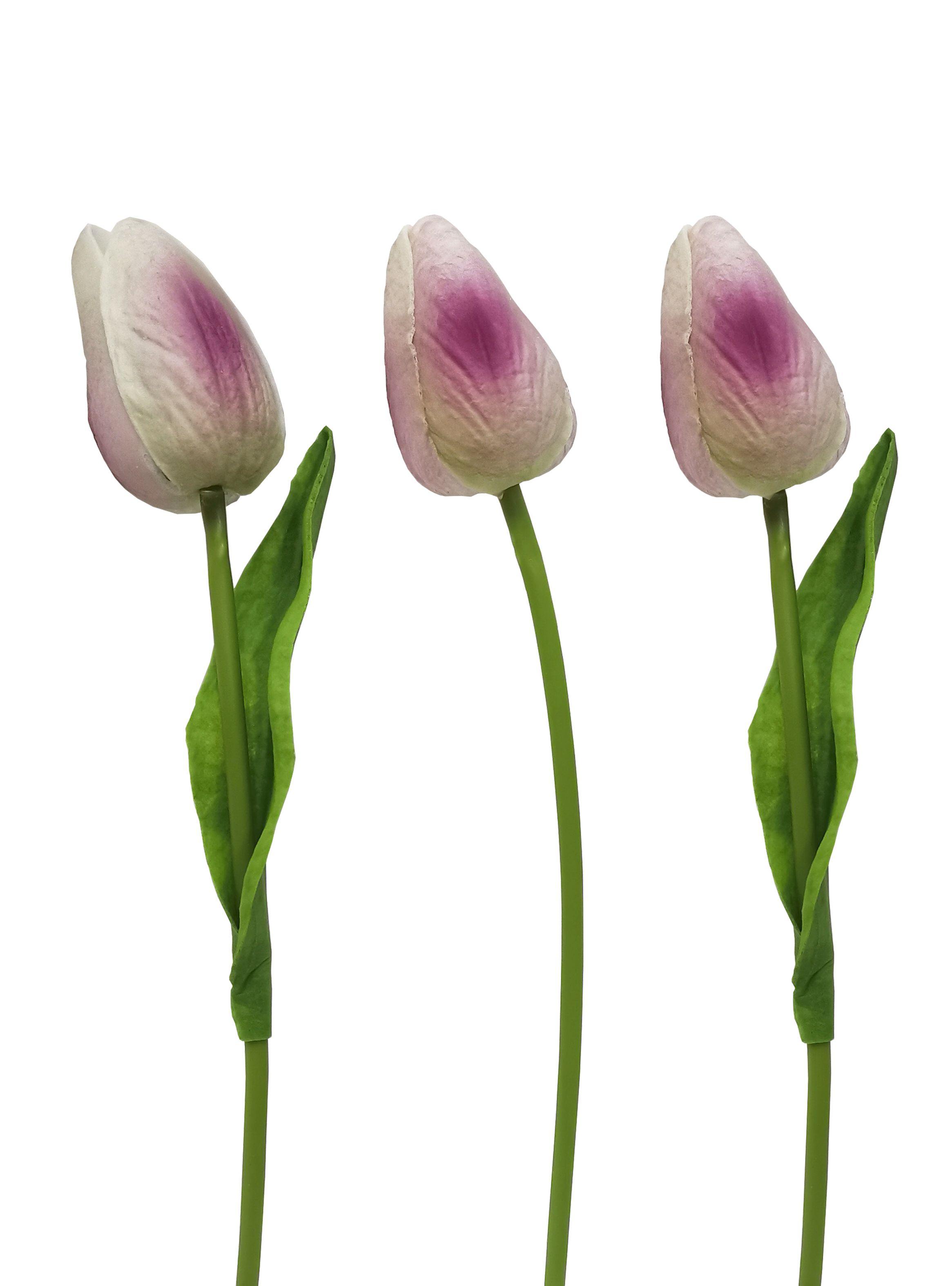 Ramo 12 Tulipanes Morado-2
