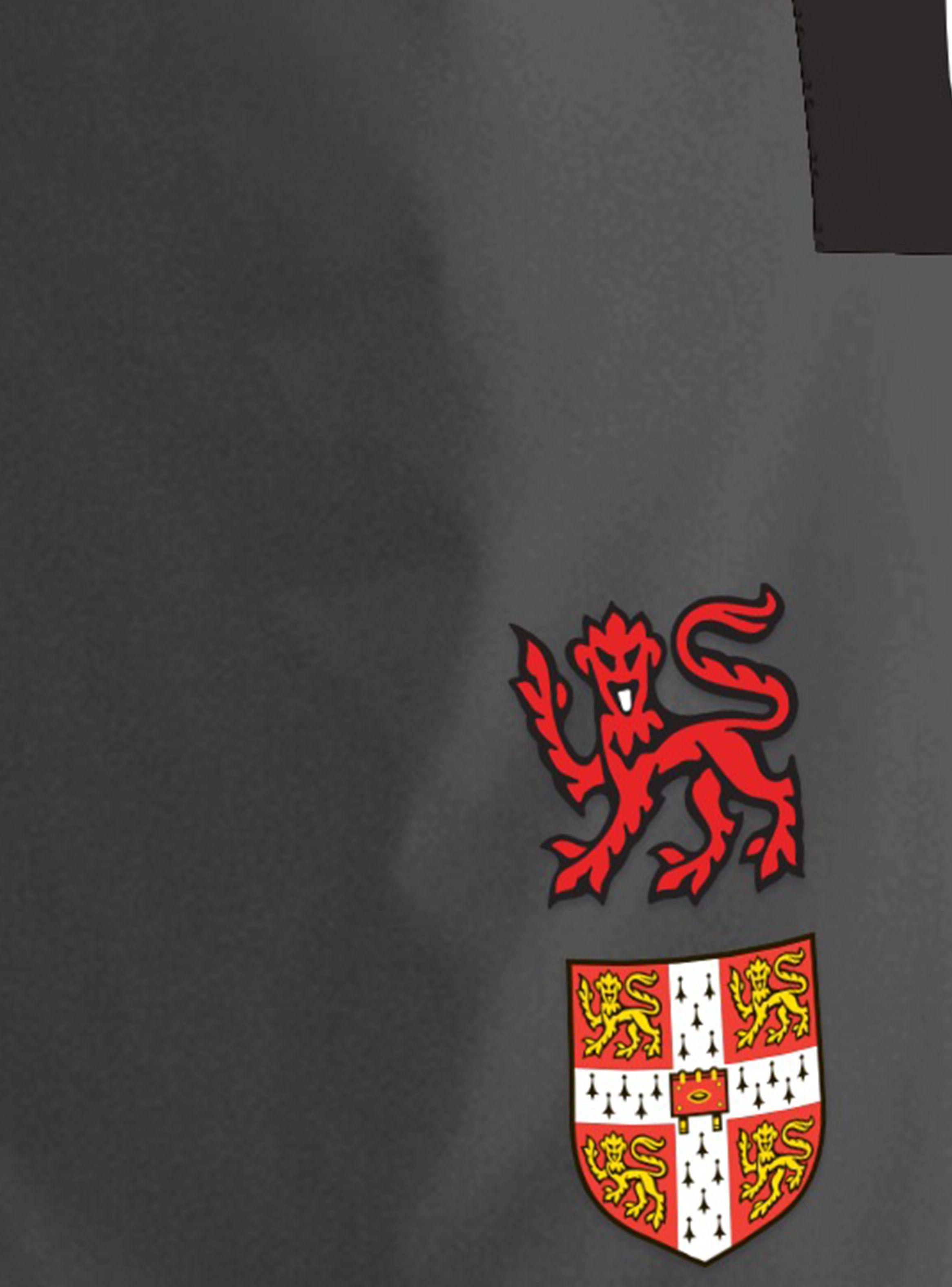 Pantalon División de Colores-2