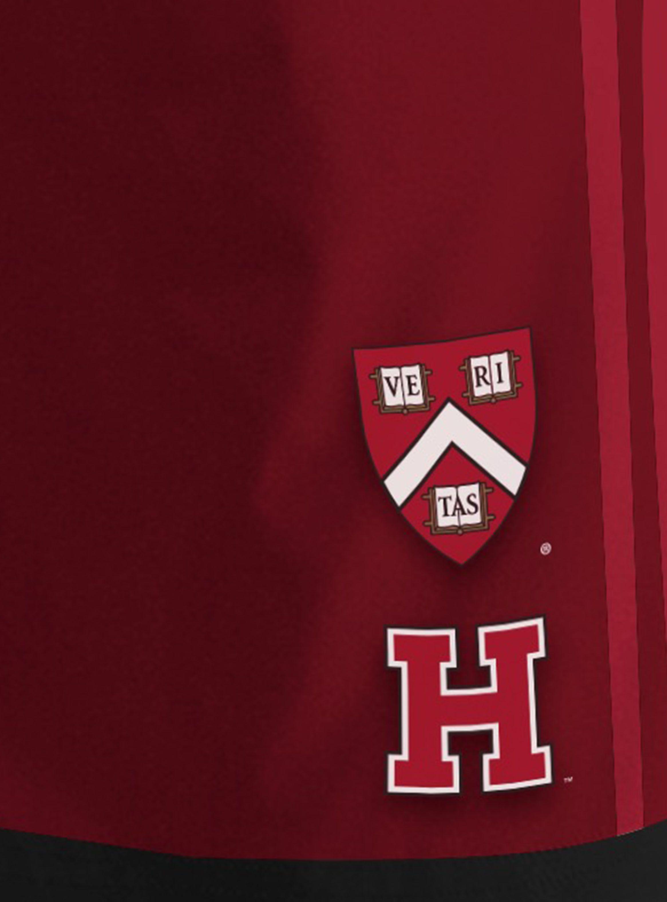 Short Harvard Preppy StyleDoble Raya-2