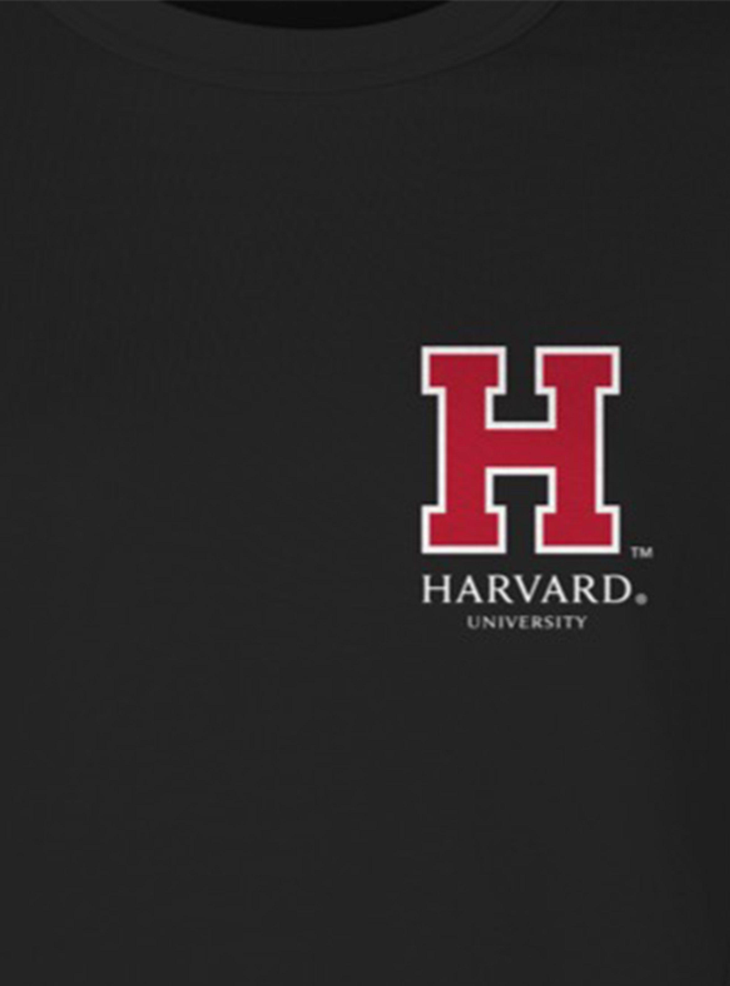 Polera Print Doble Raya Preppy De Harvard-2