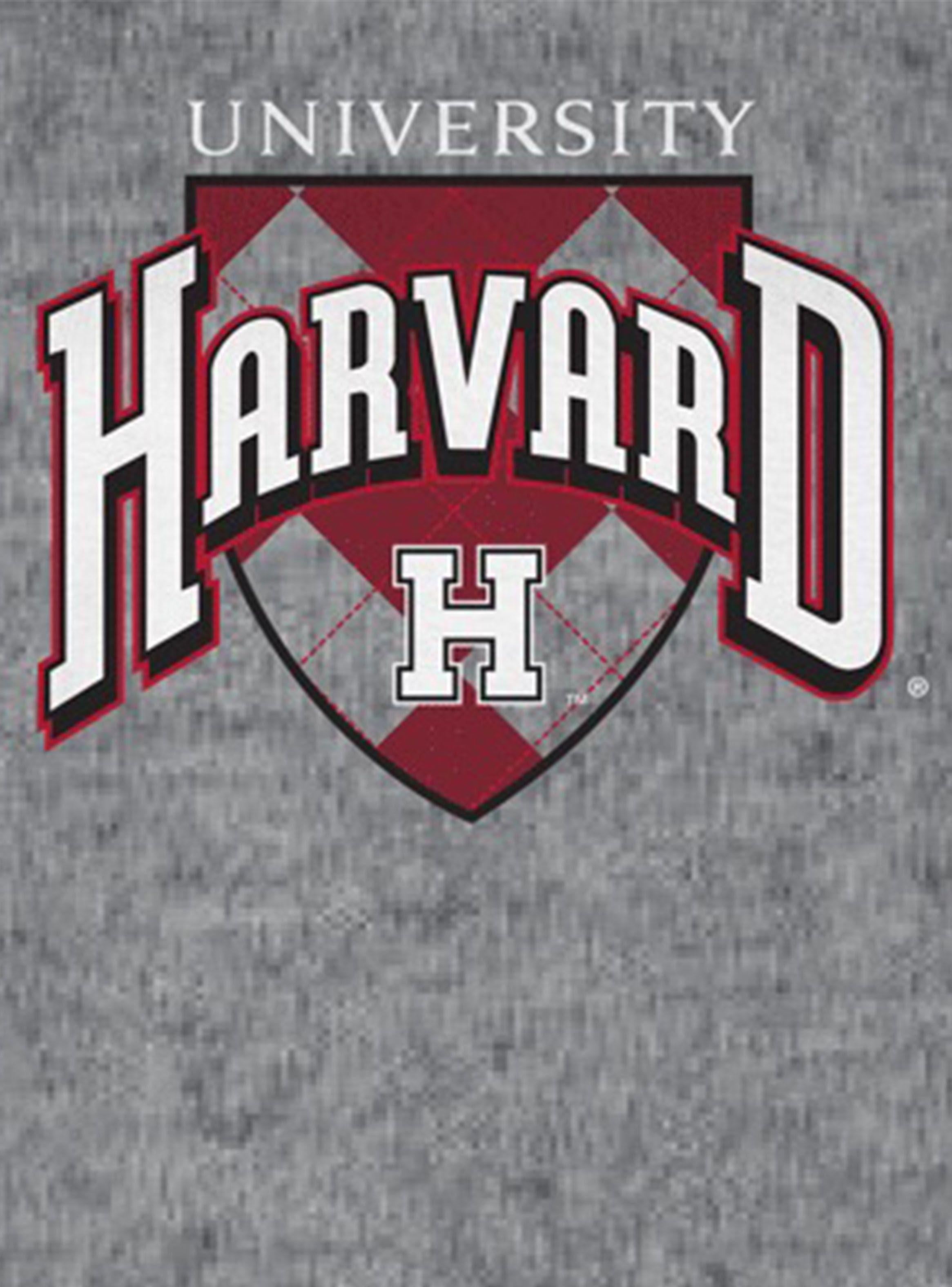 Polera Estilo Urba Harvard-2