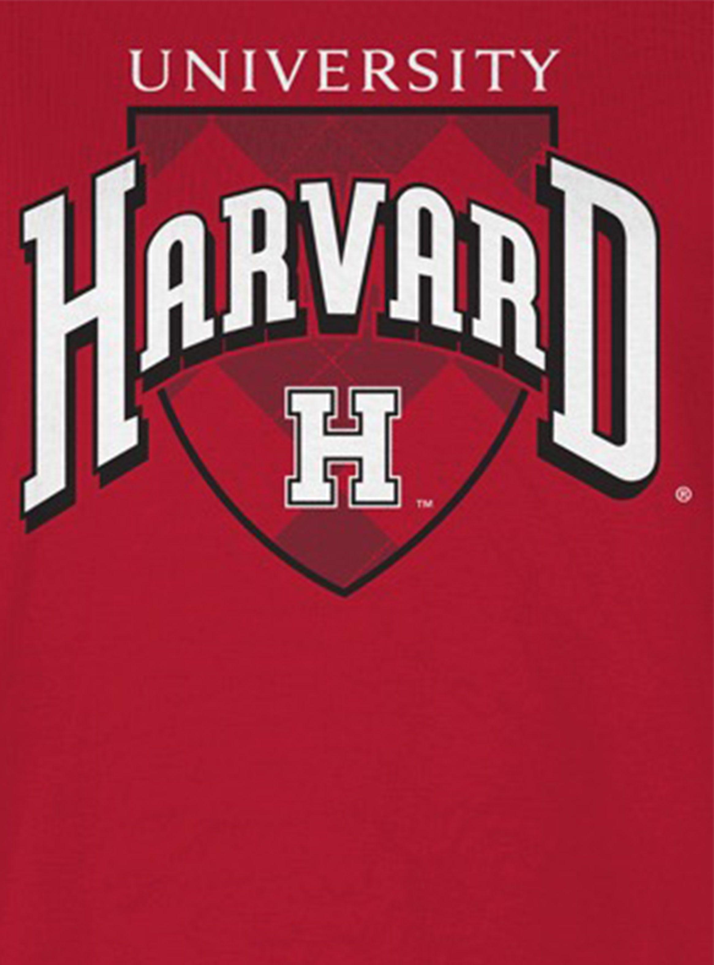 Polera Style Urba Harvard-2