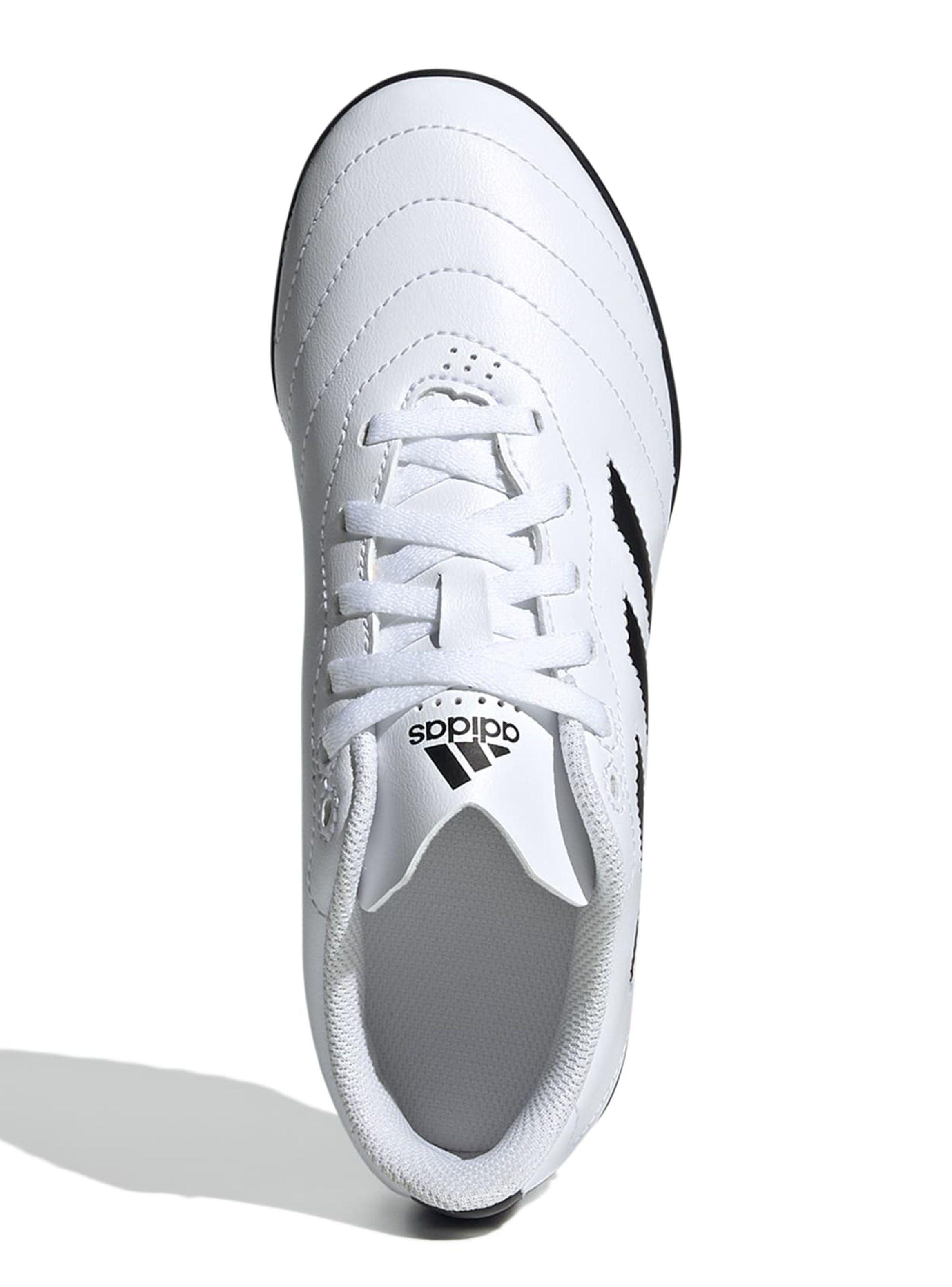 Zapatilla Football Jr. Goletto Viii Tf J Unisex-3