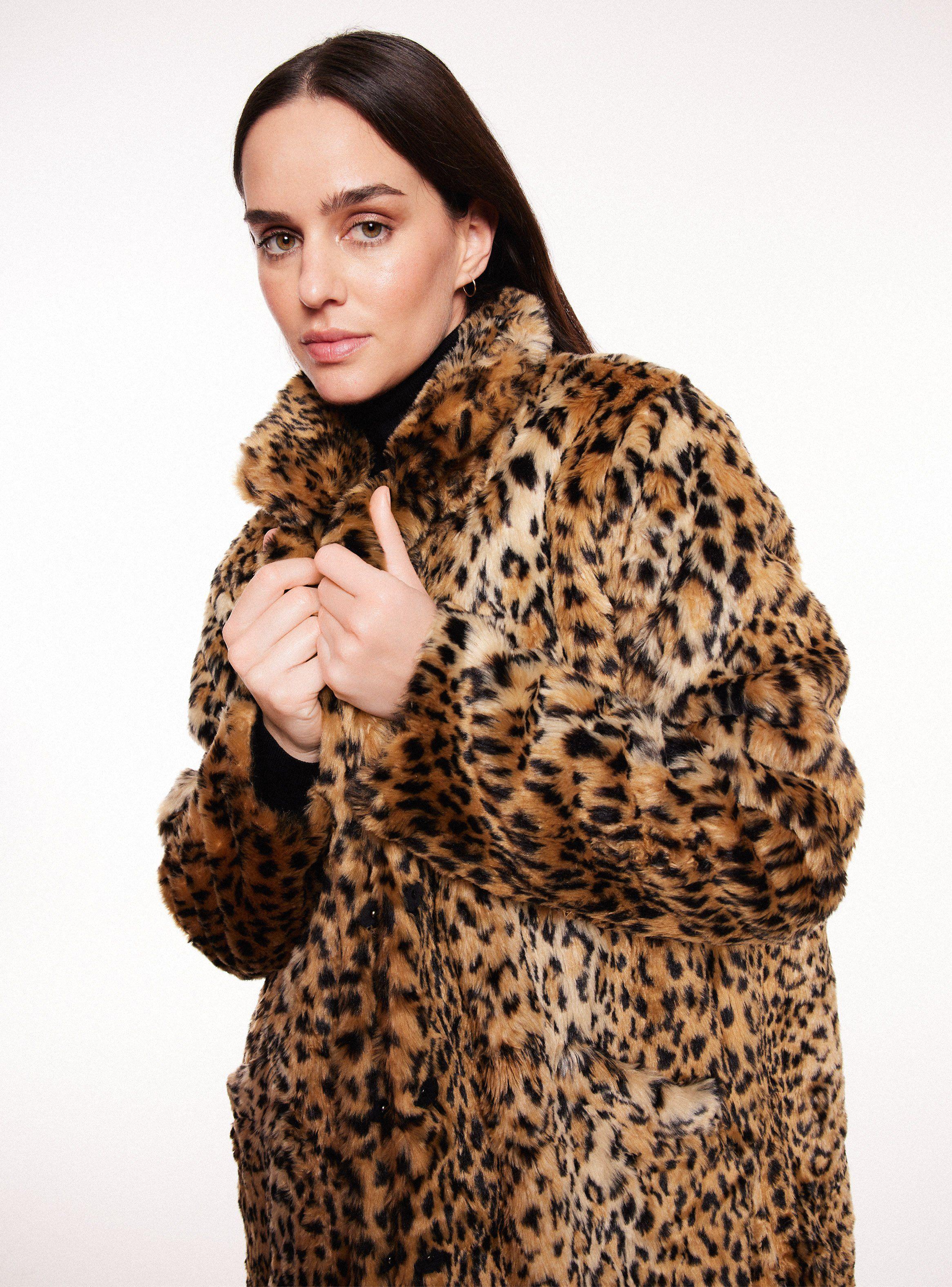 Abrigo And Ea Wy Animal Print Talla XXL-2