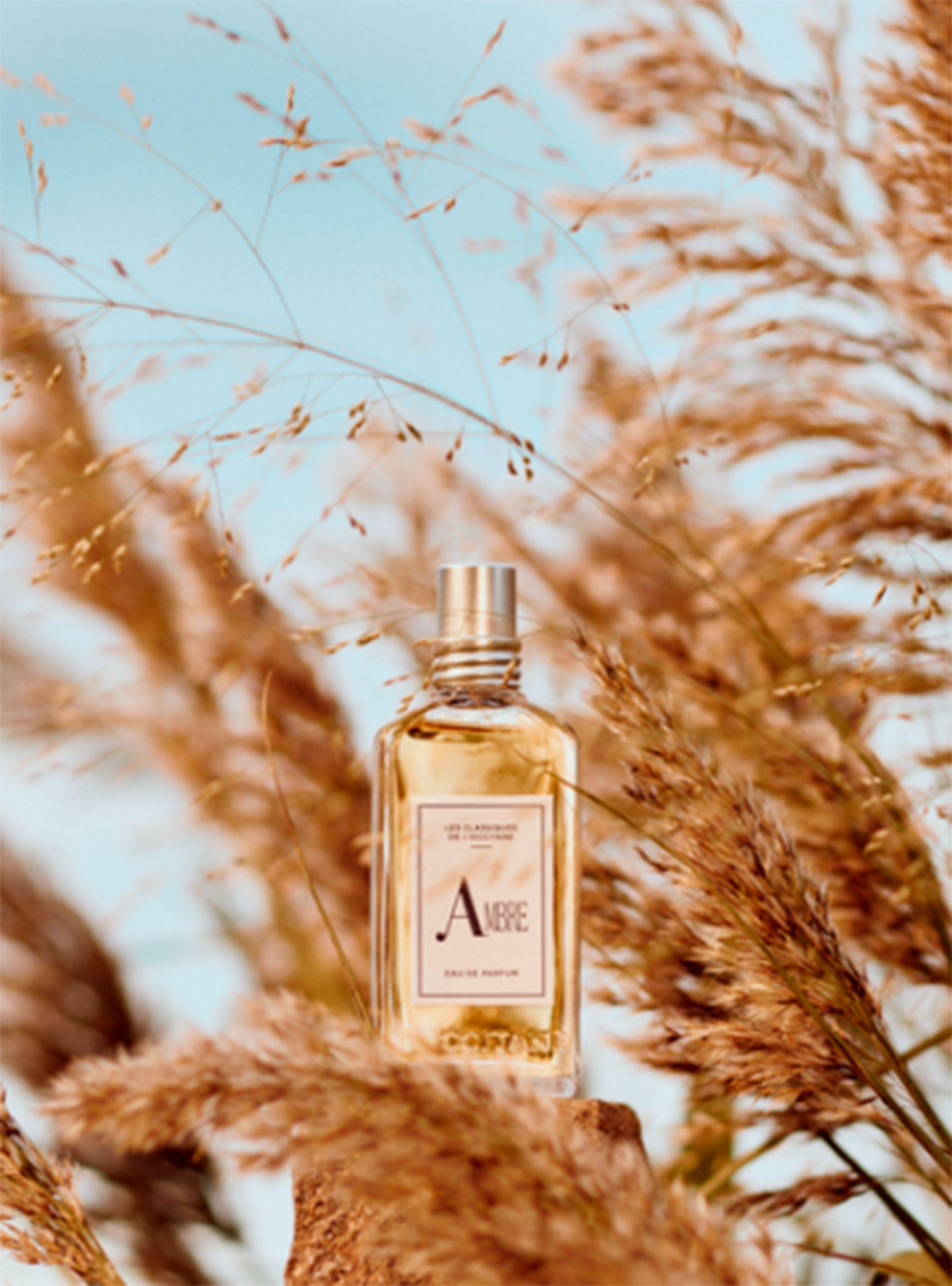 Perfume Ambre EDP Unisex 50 ml-2