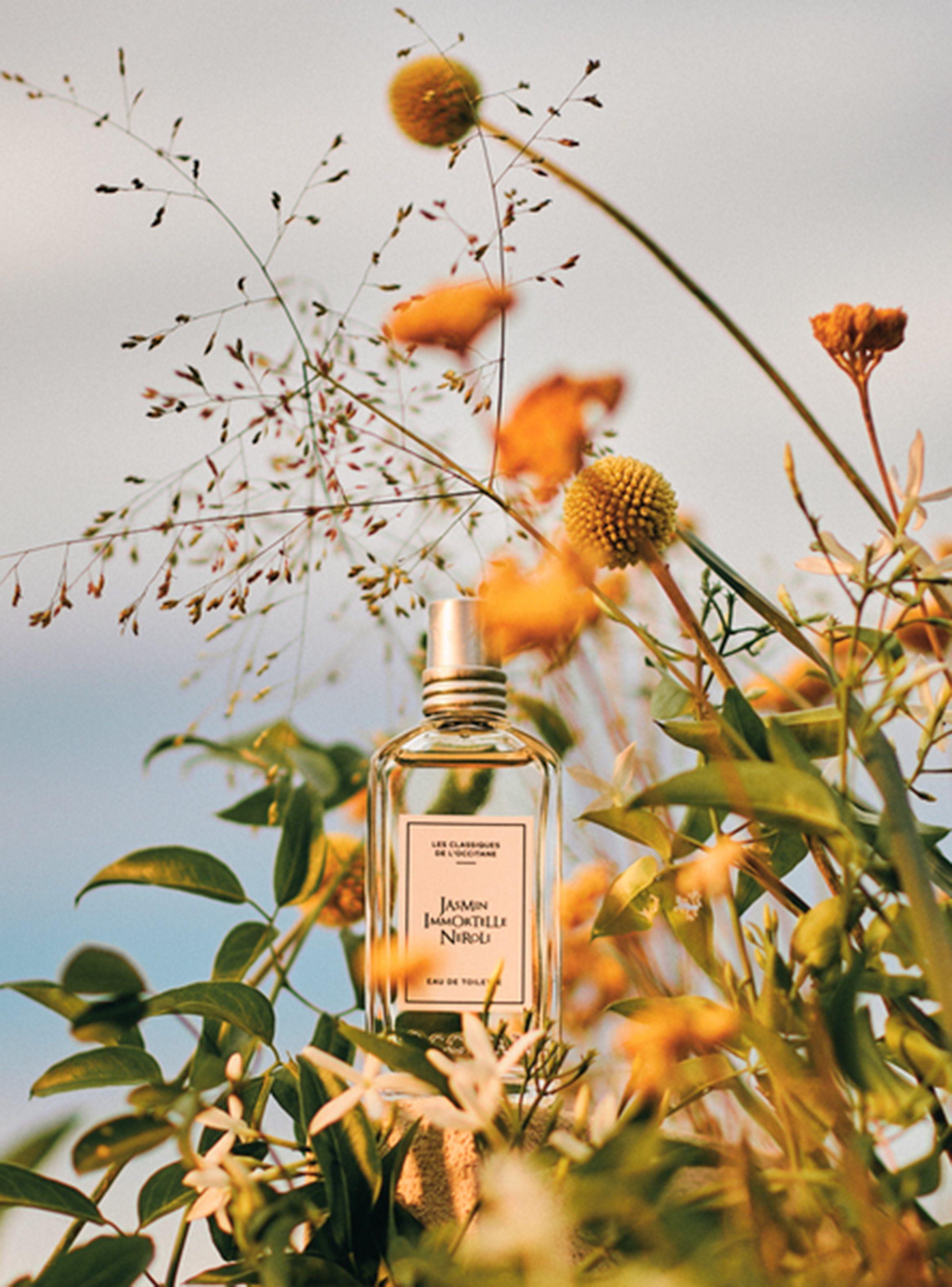 Perfume Jasmin Immortelle Neroli EDT Mujer 50 ml-2