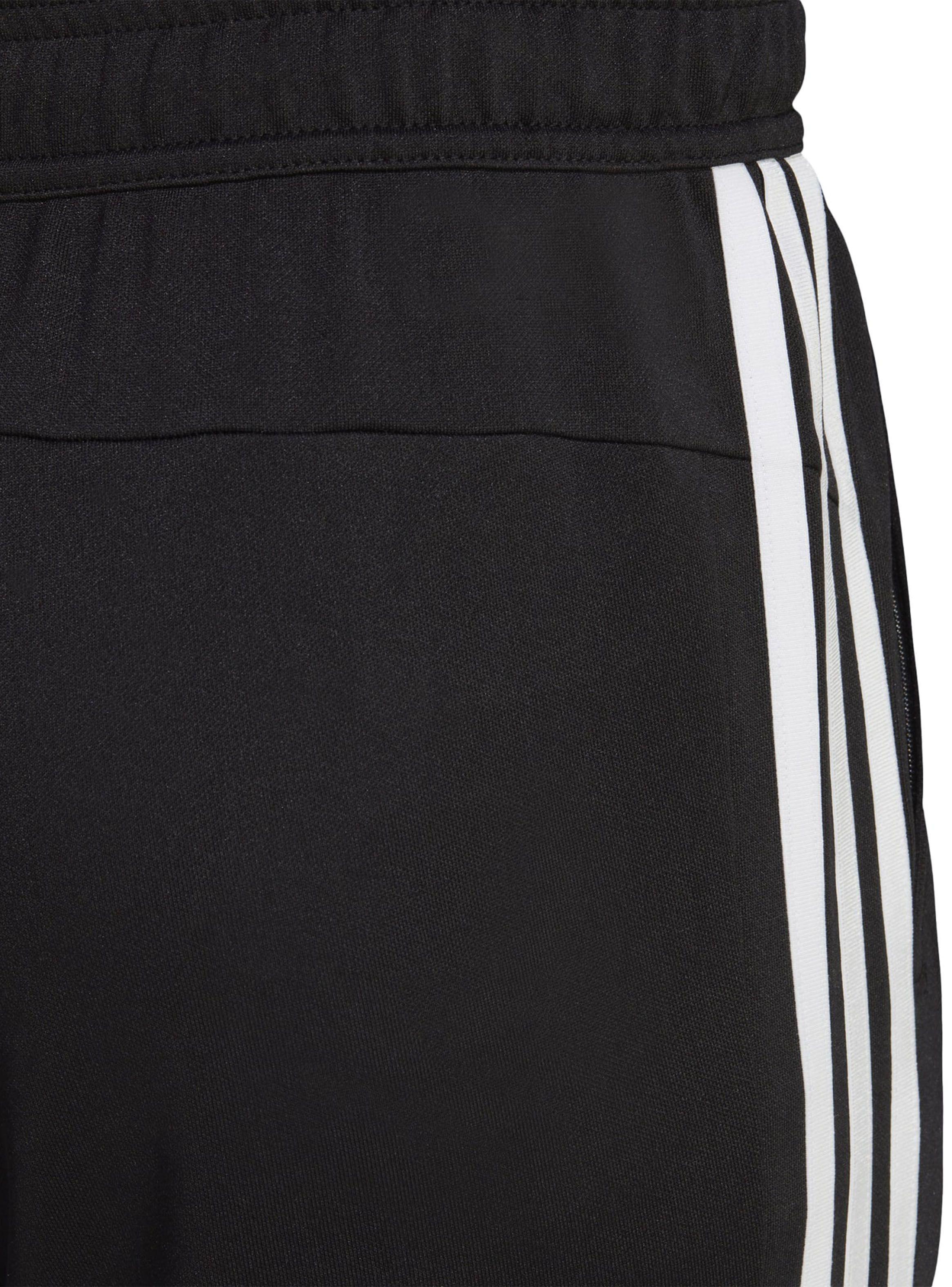 Pantalón Buzo Training Tr-es Base 3pt Joggers-3