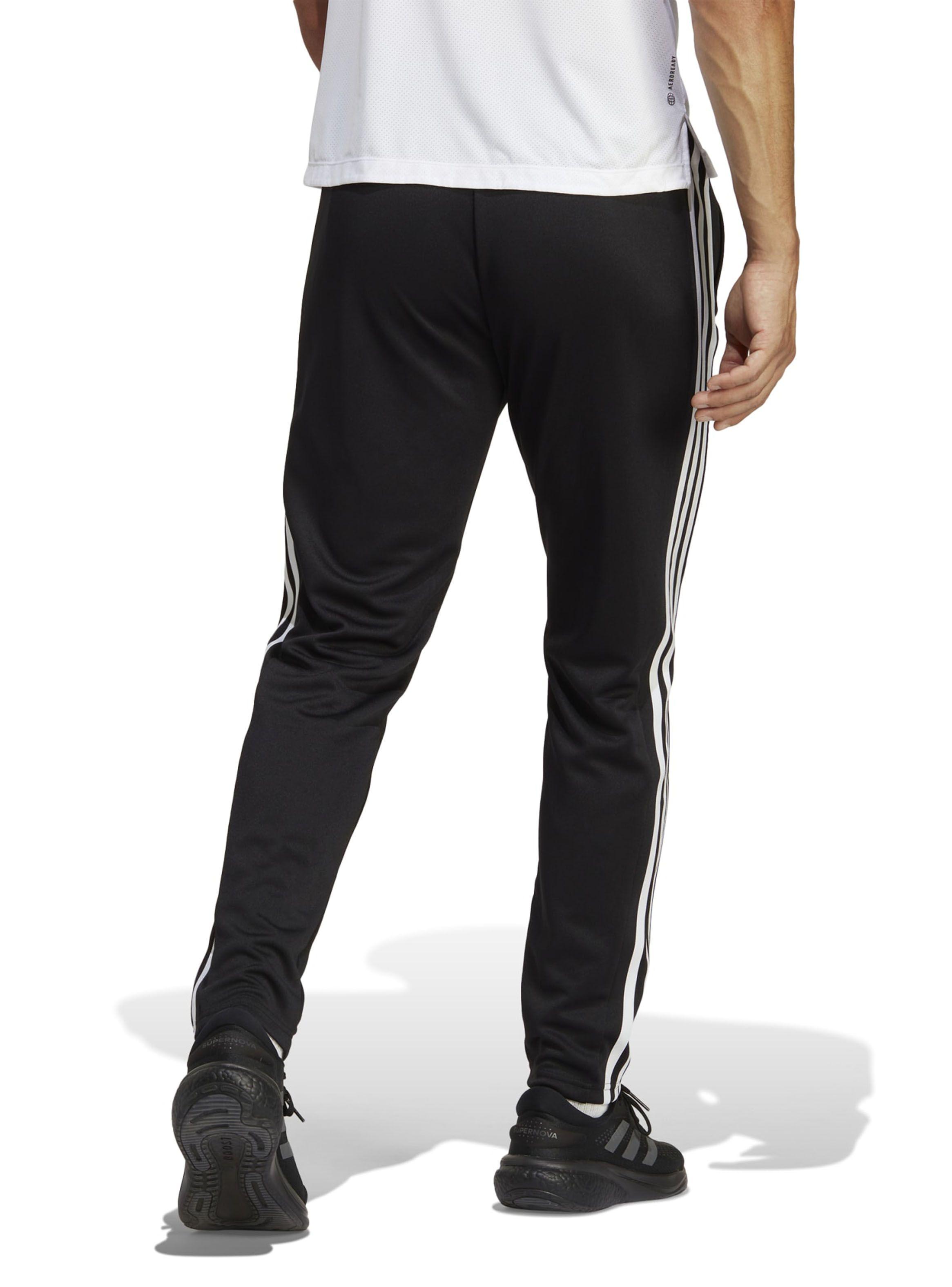 Pantalón Buzo Training Tr-es Base 3pt Joggers-1