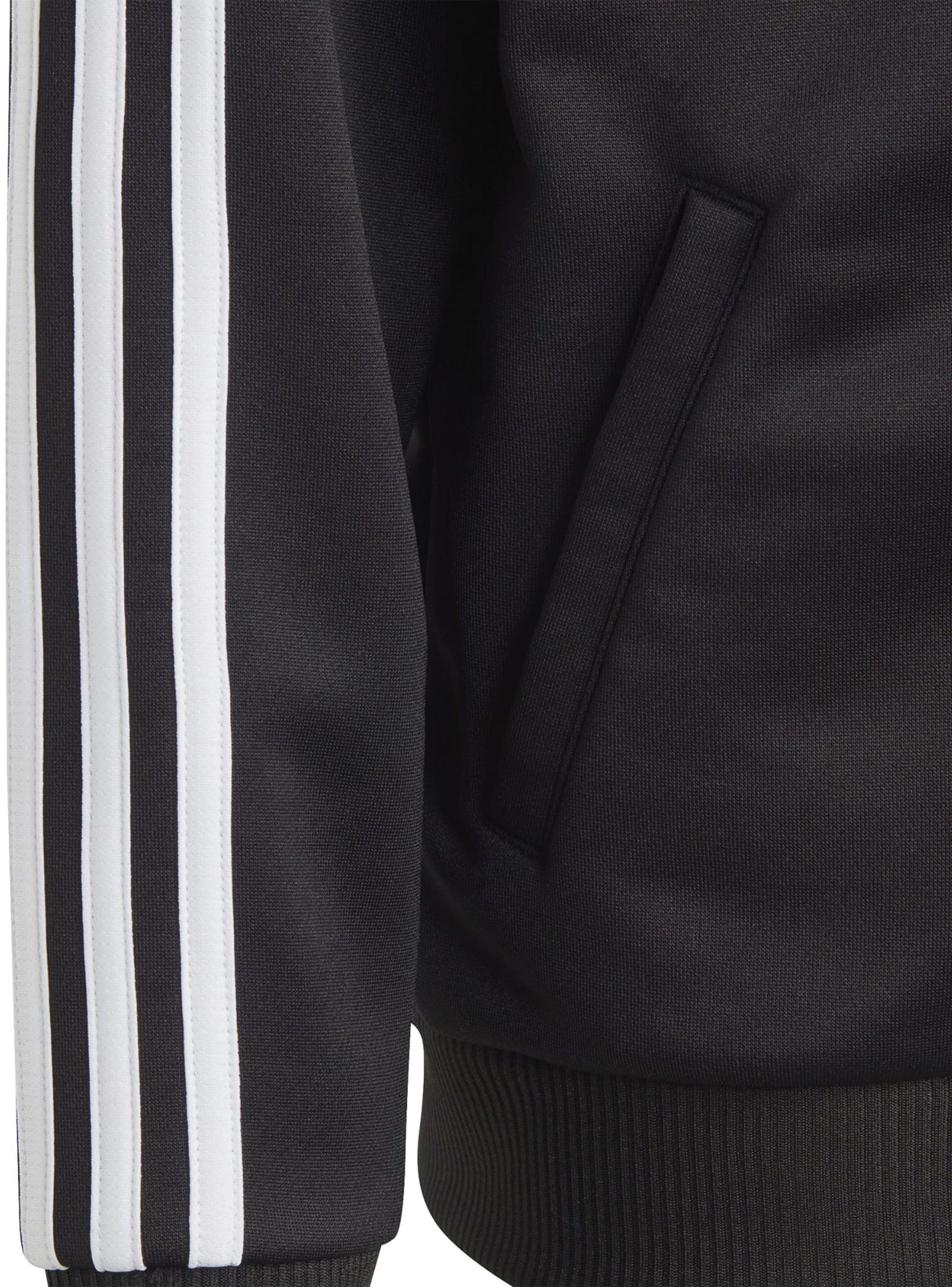 Chaqueta Sportswear U Tr-Es 3S Fzhd Niño-4