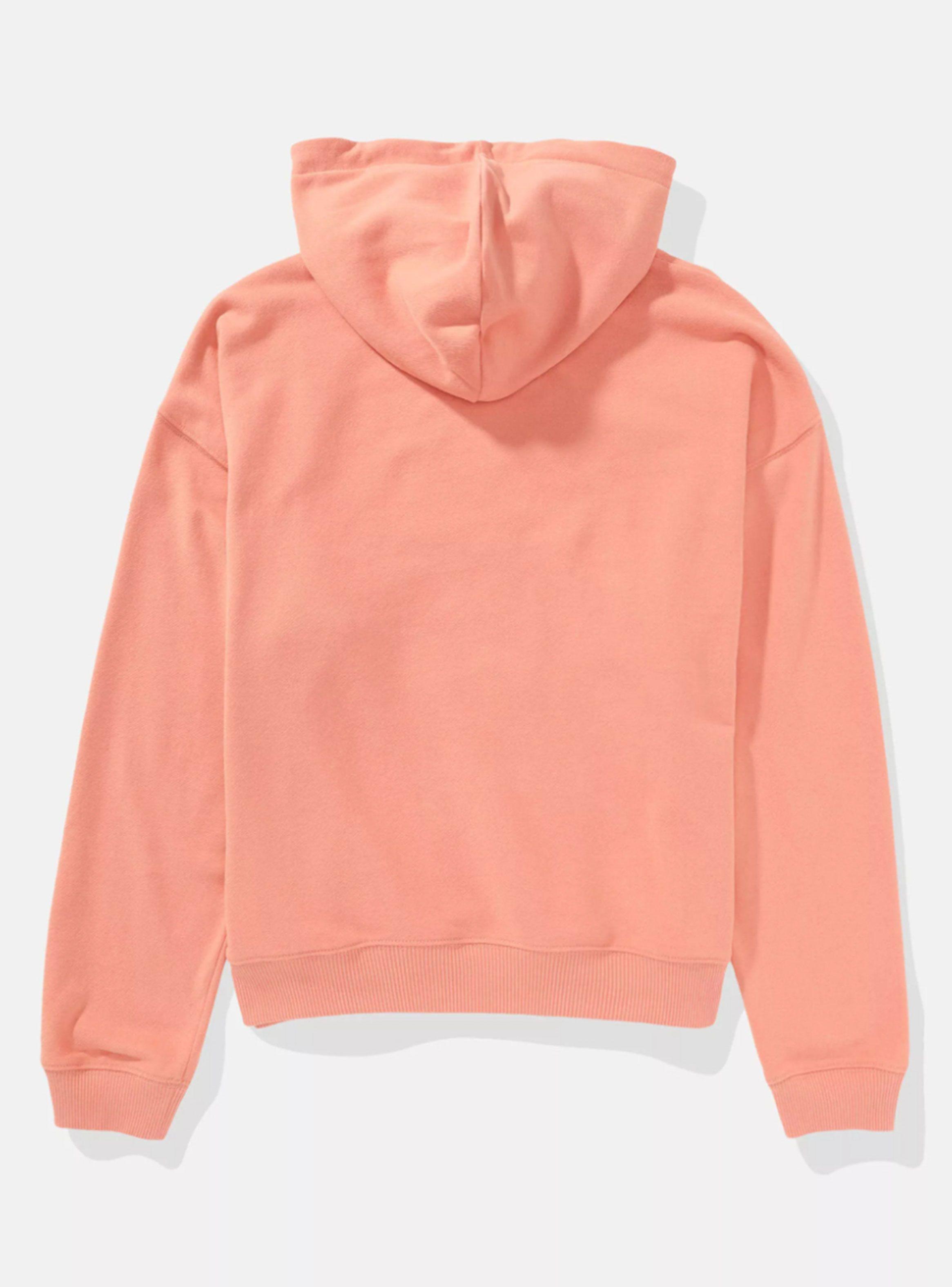 Polerón Ae Hoodie Logo-1