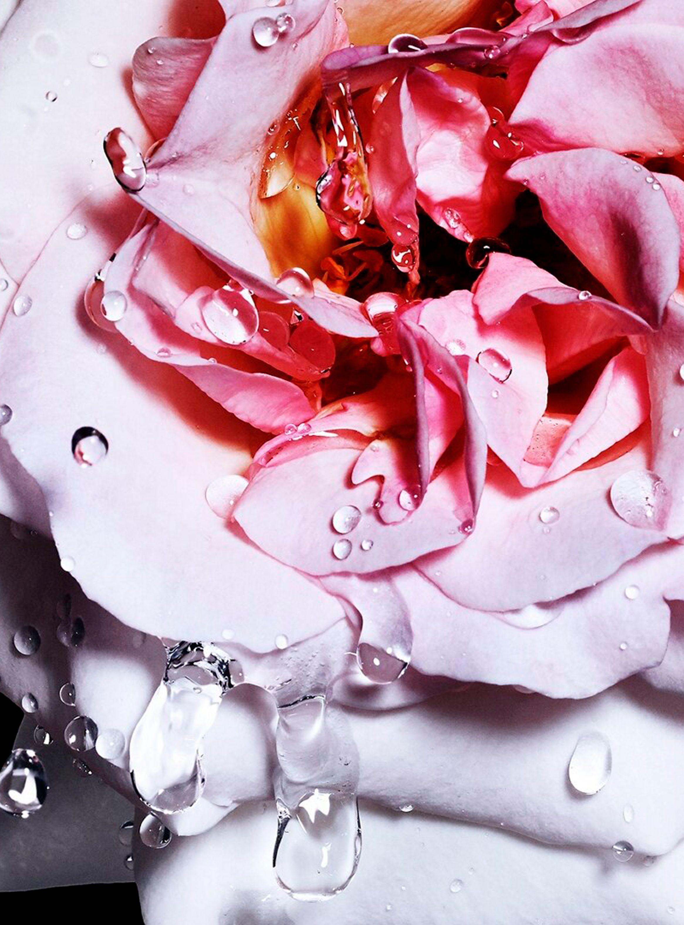 Perfume Daisy Pop EDT Mujer 50 ml-4