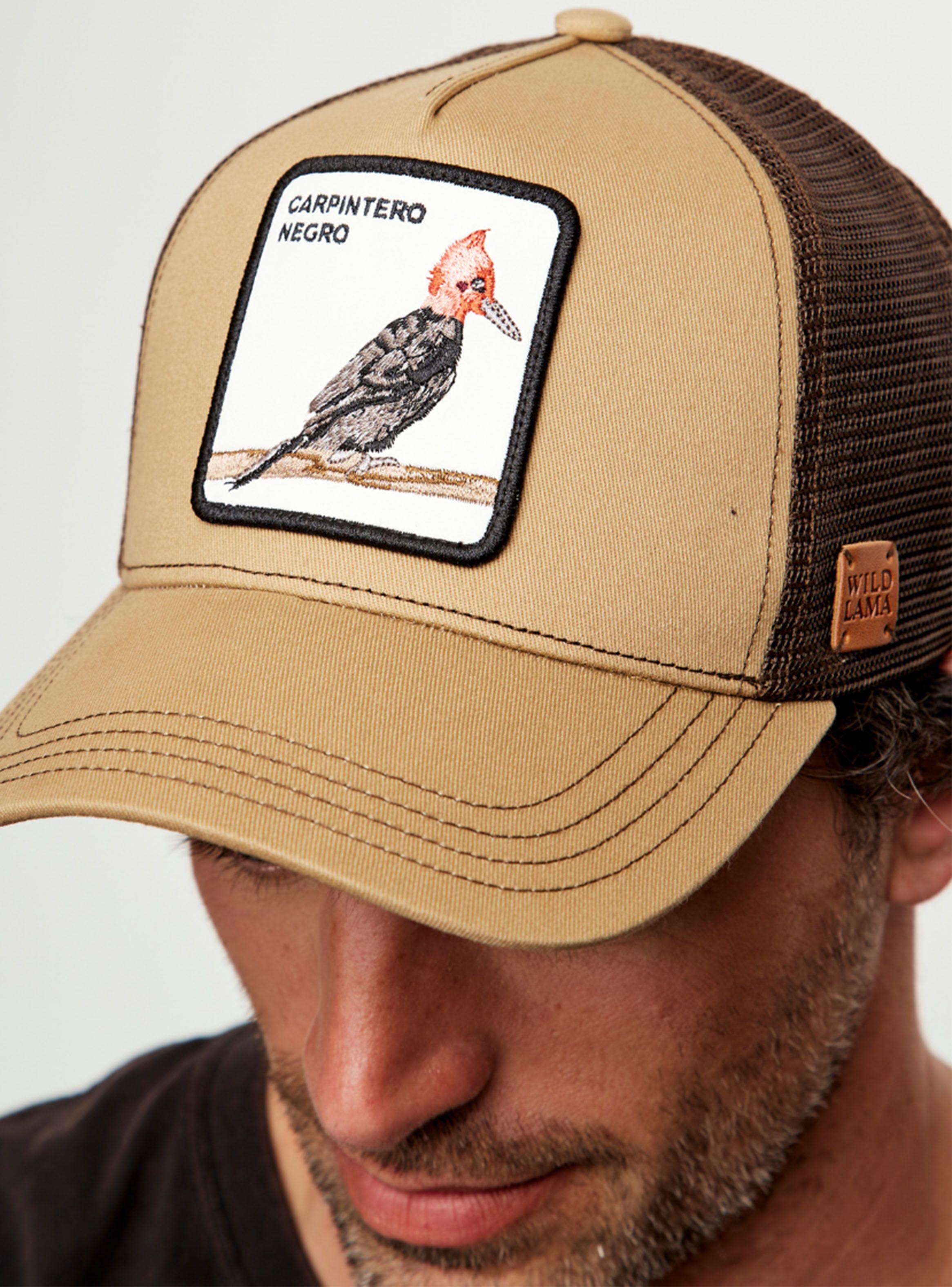 Jockey Carpintero Orgánico-2