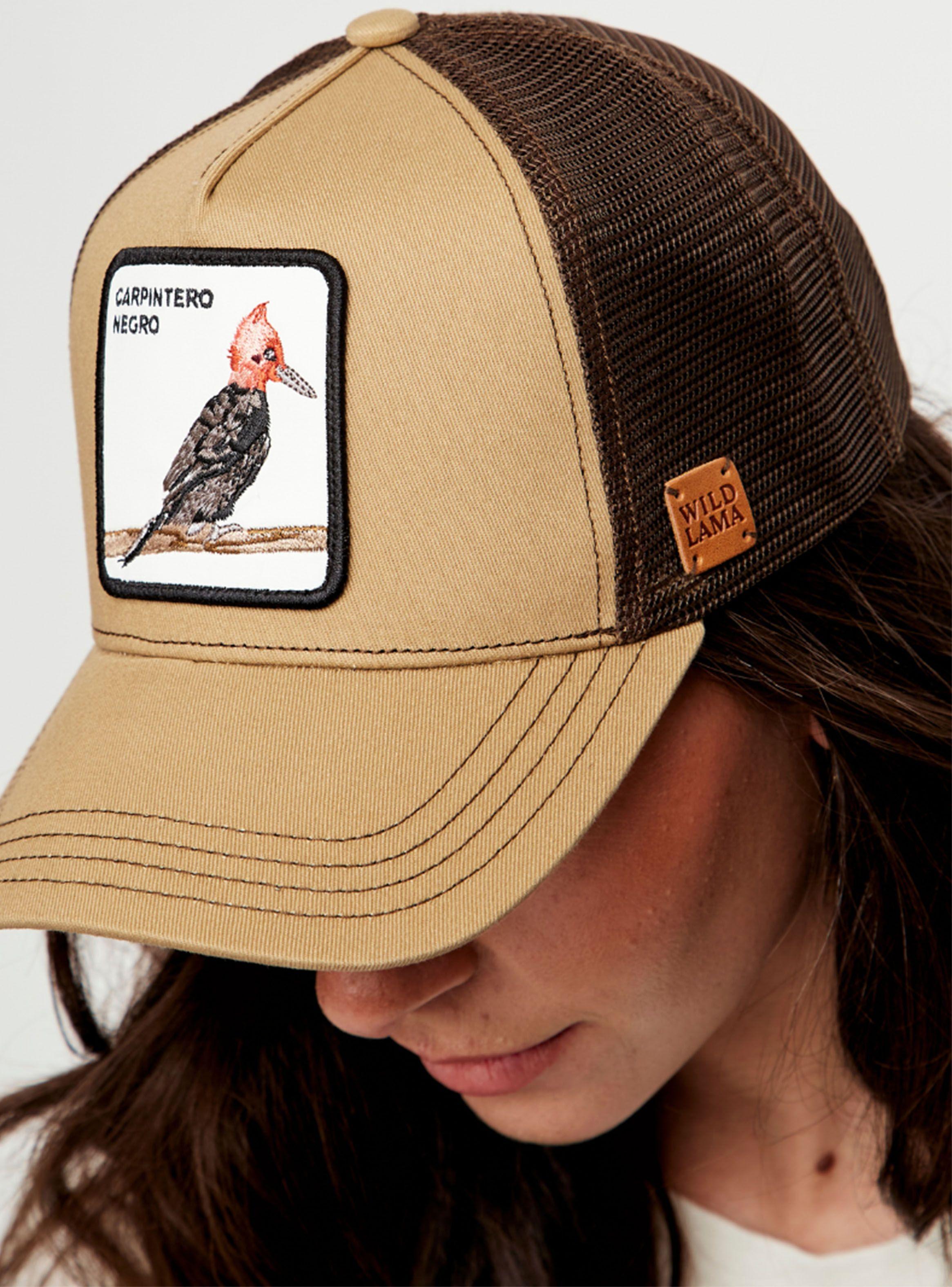 Jockey Carpintero Orgánico-1