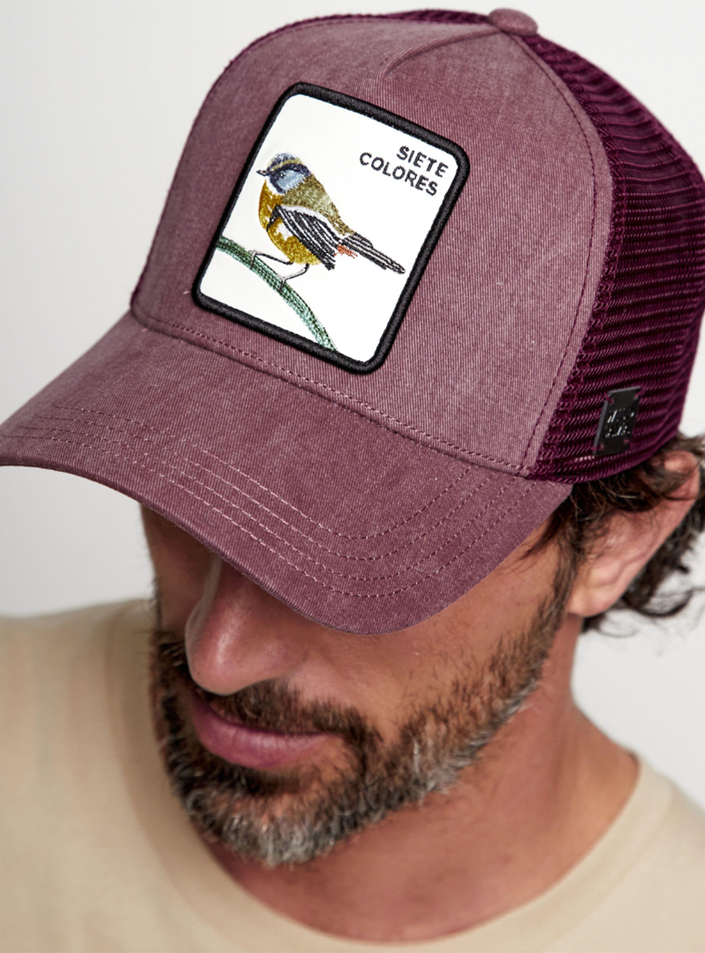 Jockey 7 Colores Orgánico Lavado-2