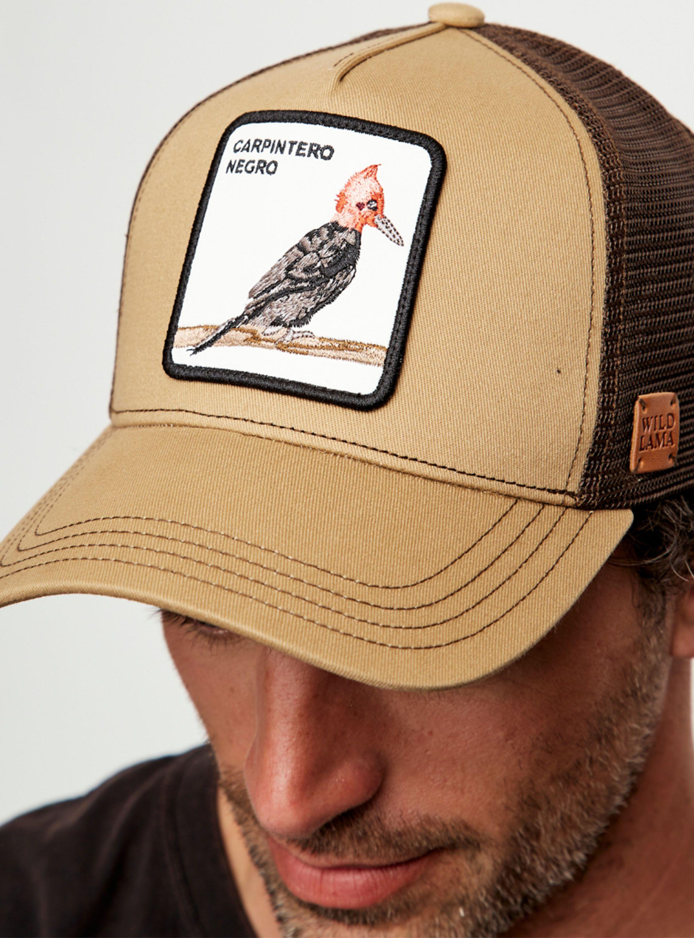 Jockey Carpintero Color-2