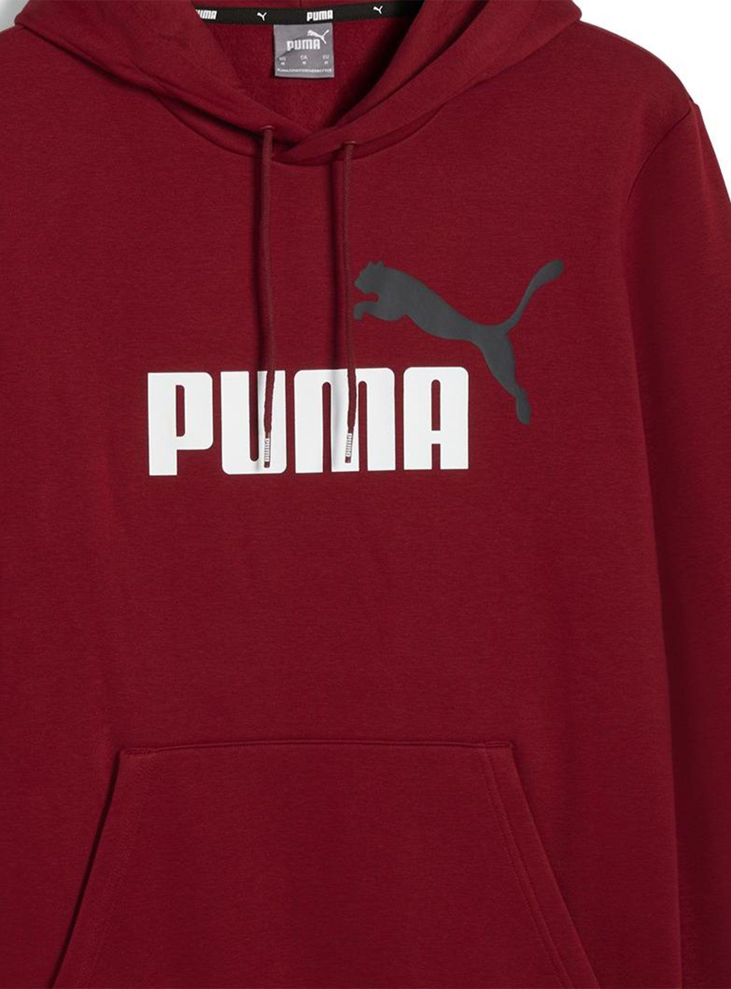 Polerón Ess+ 2 Col Big Logo Hoodie Fl-1