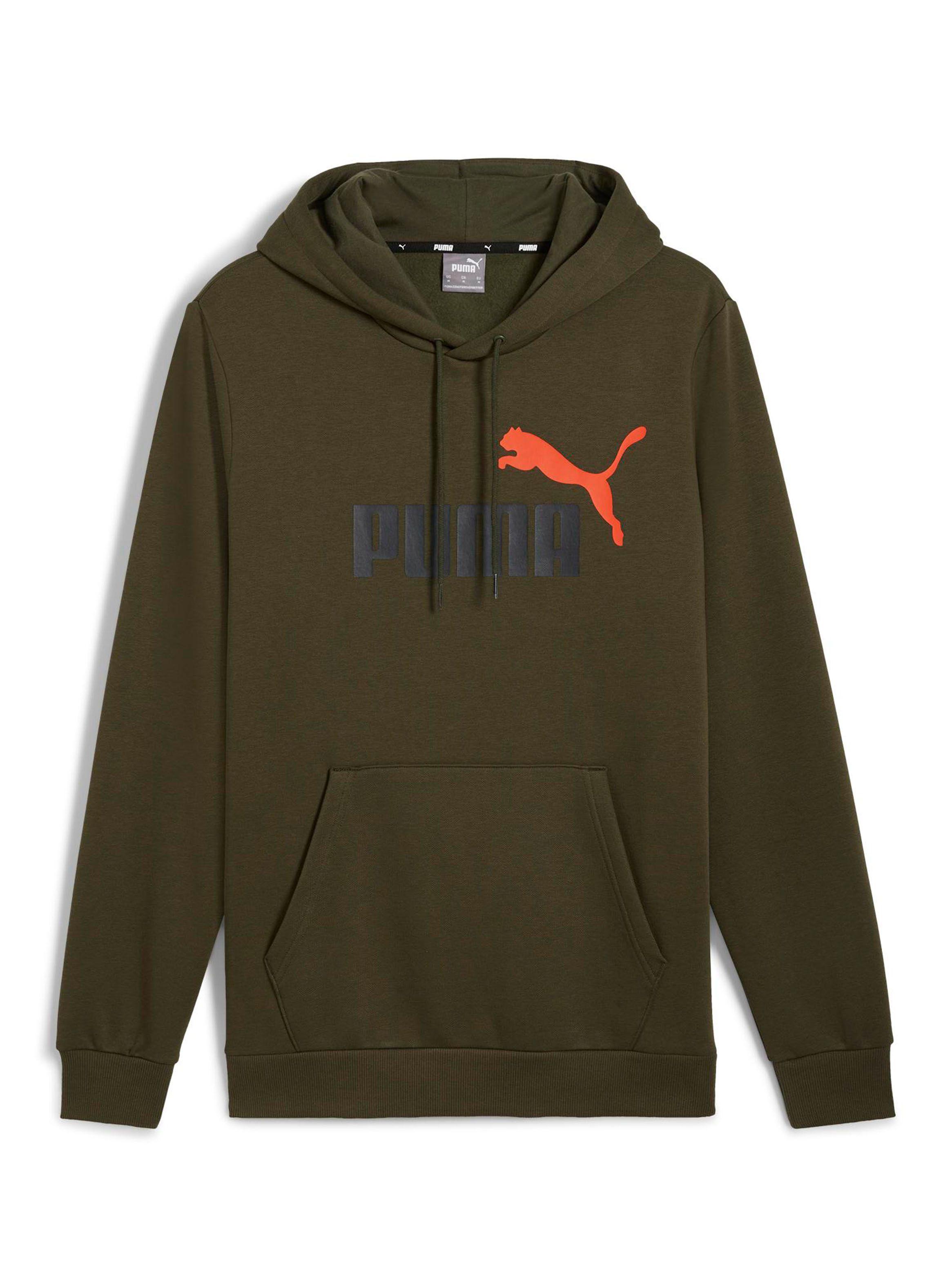 Polerón Graphic Ess+ 2 Col Big Logo Hoodie Fl-3