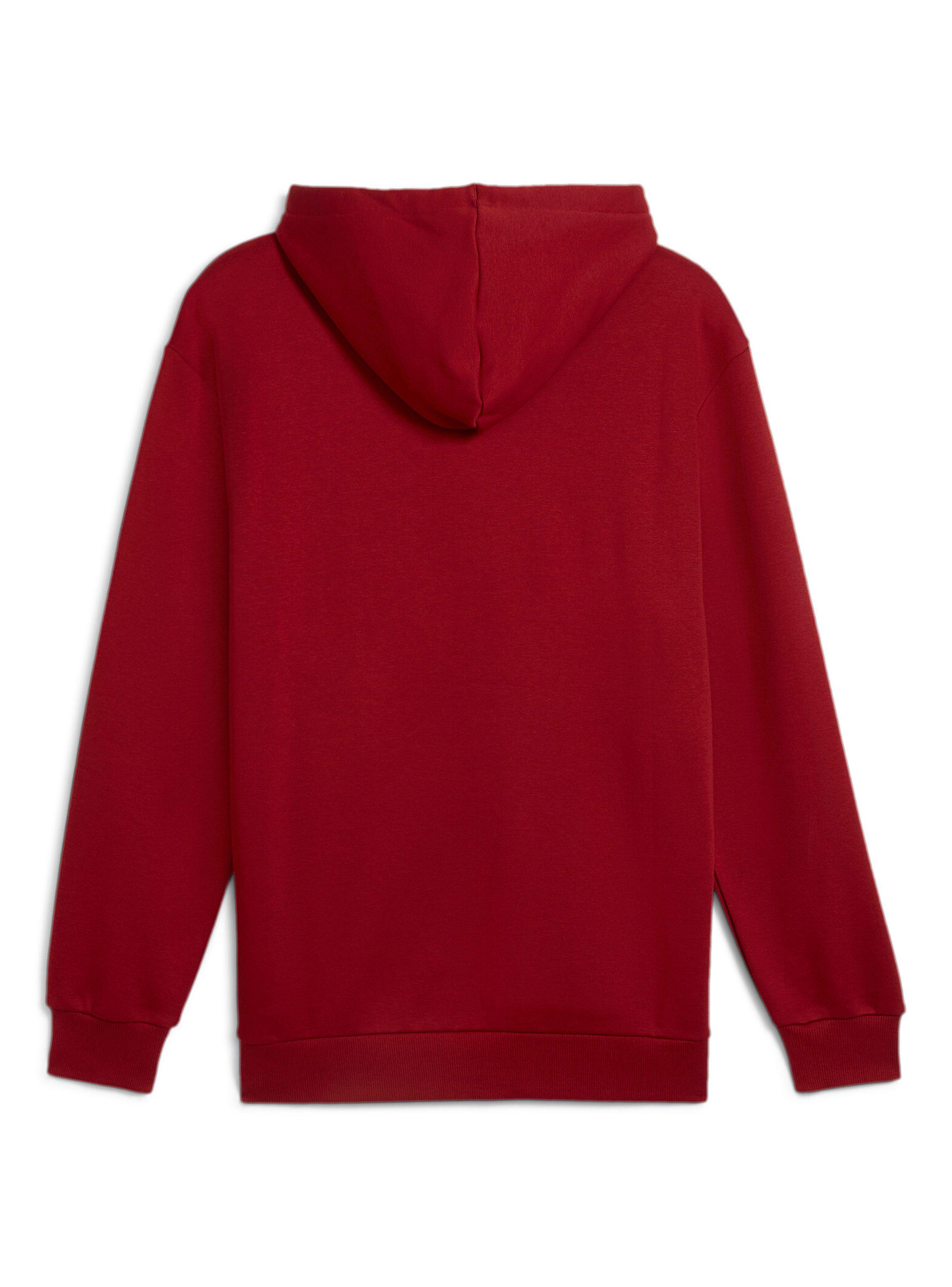 Polerón Logotipo Power Graphic Hoodie Fl-6