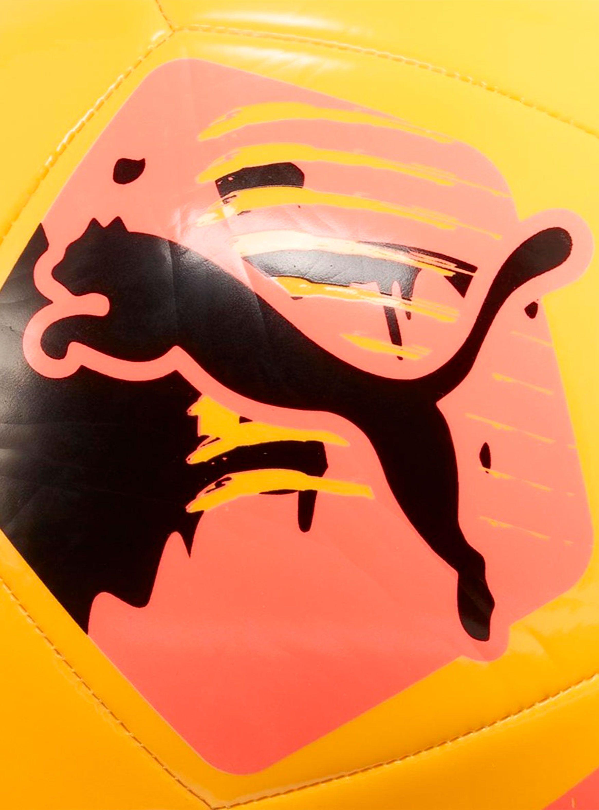 Pelota de Fútbol Logo Big Cat Ball-2