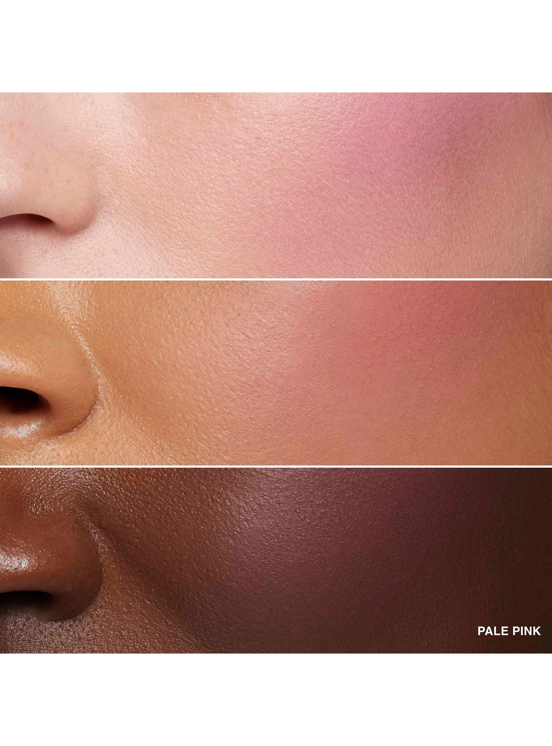 Rubor Blush Matte Pale Pink 3.5 g-3
