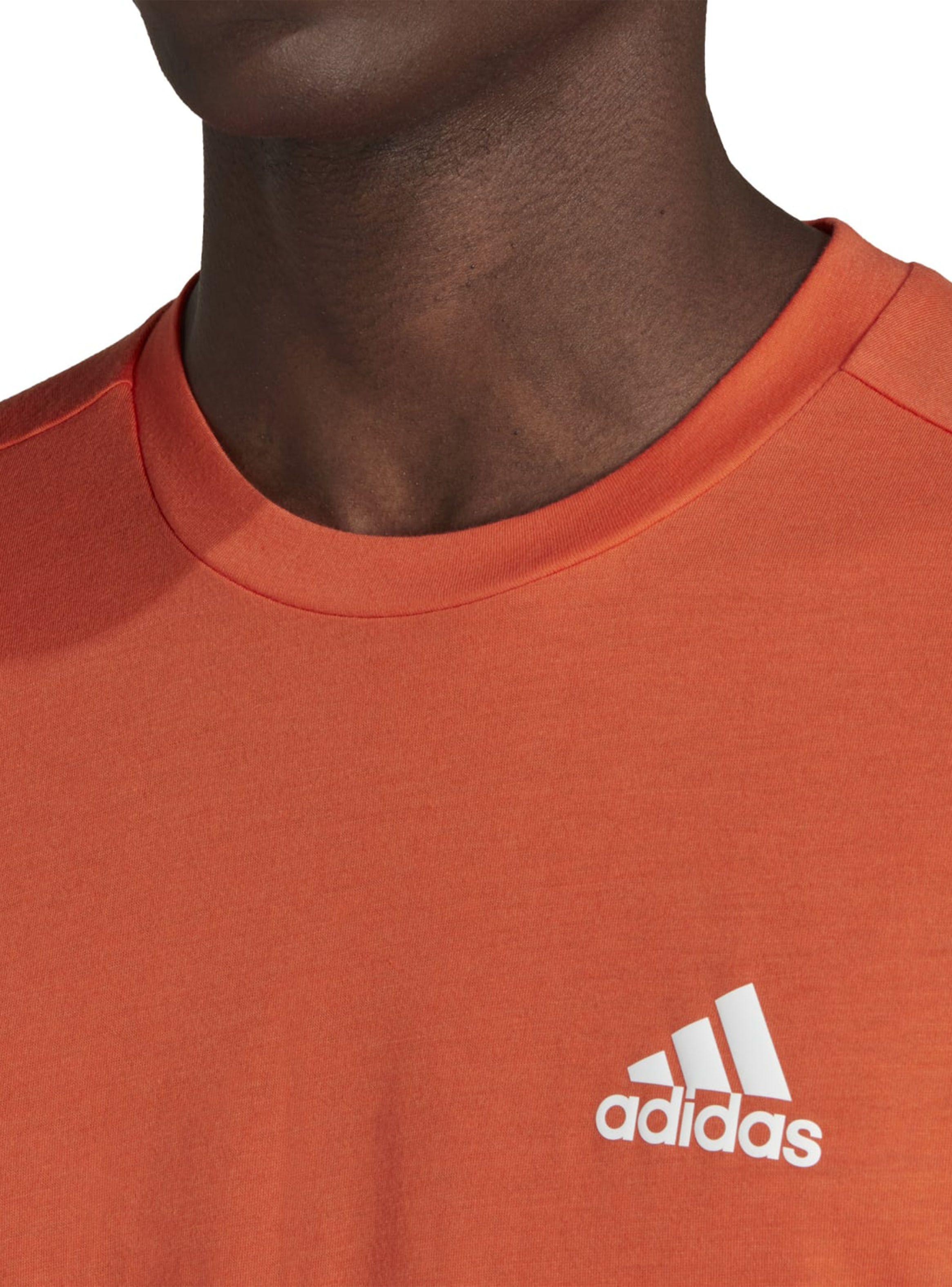 Polera con Diseño M Fr T-2