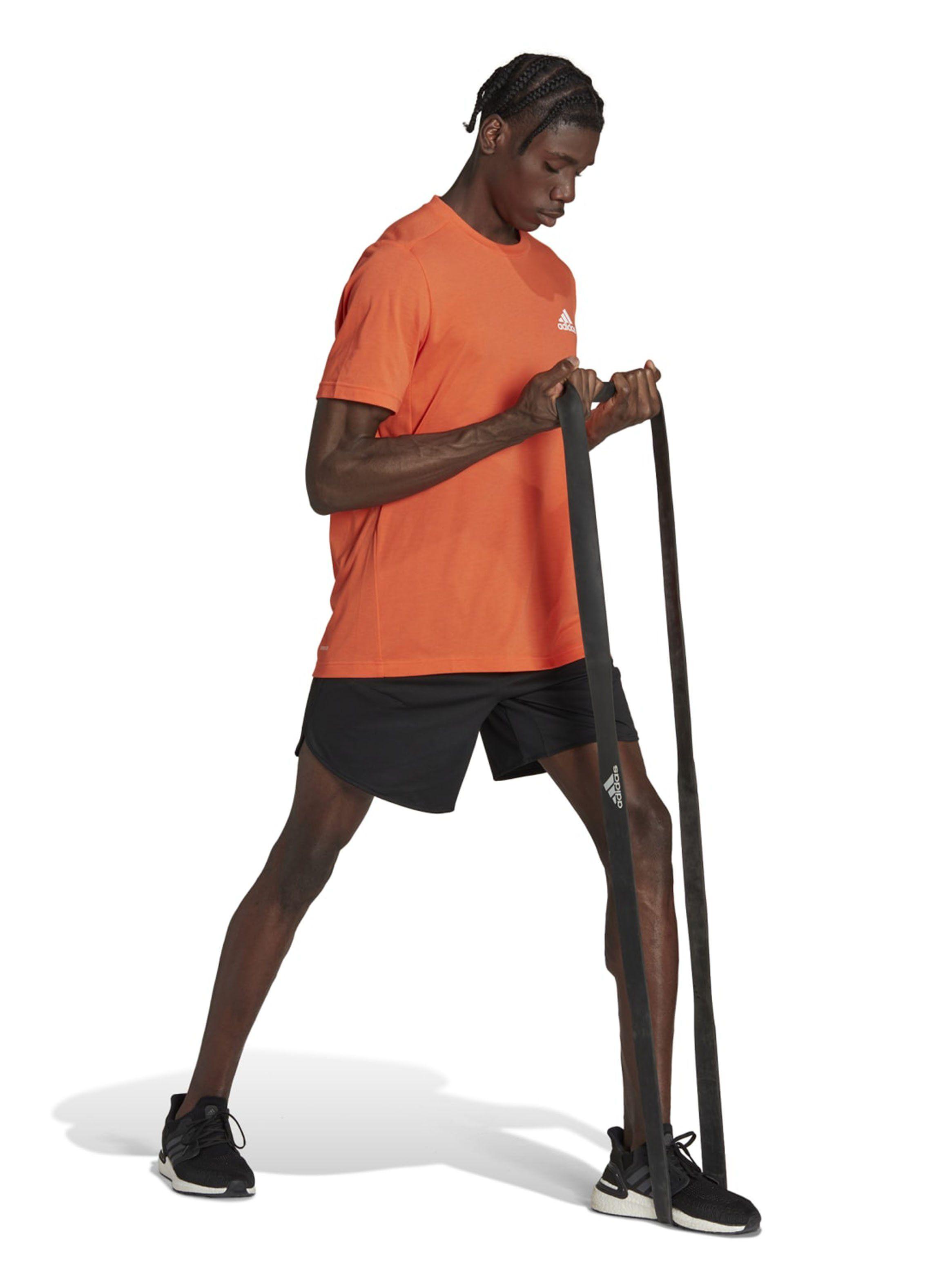 Polera con Diseño M Fr T-5