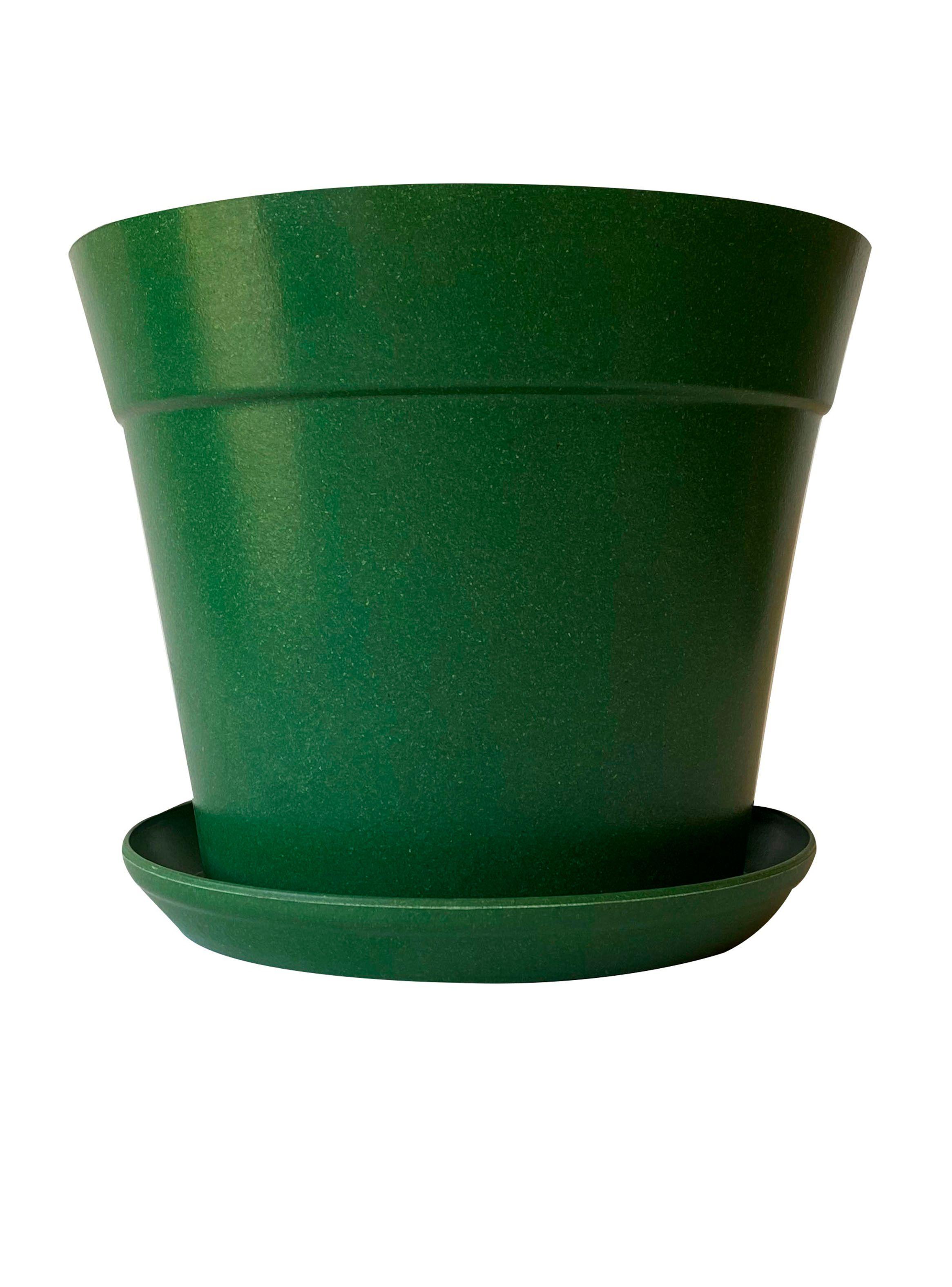 Plato Decogreen Biodegradable Actual Verde Musgo-1