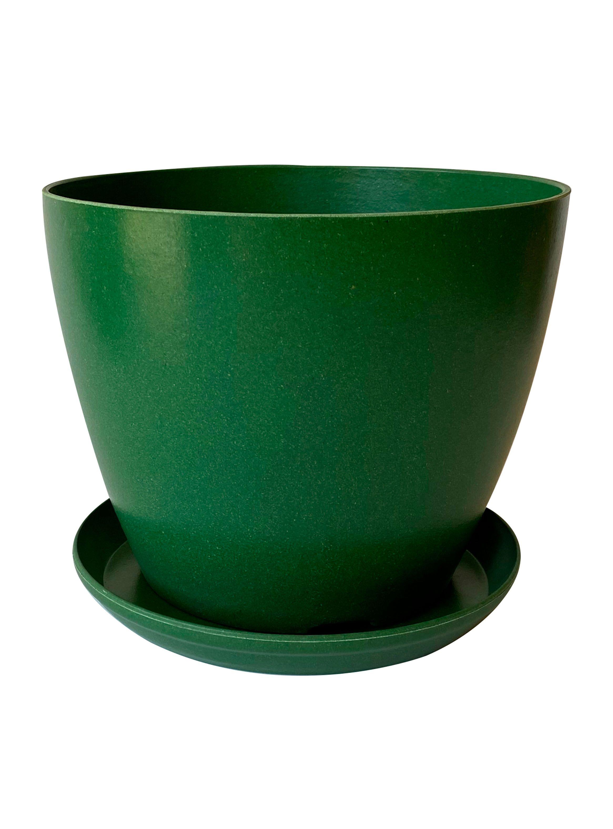 Plato Decogreen Biodegradable Actual Verde Musgo-2