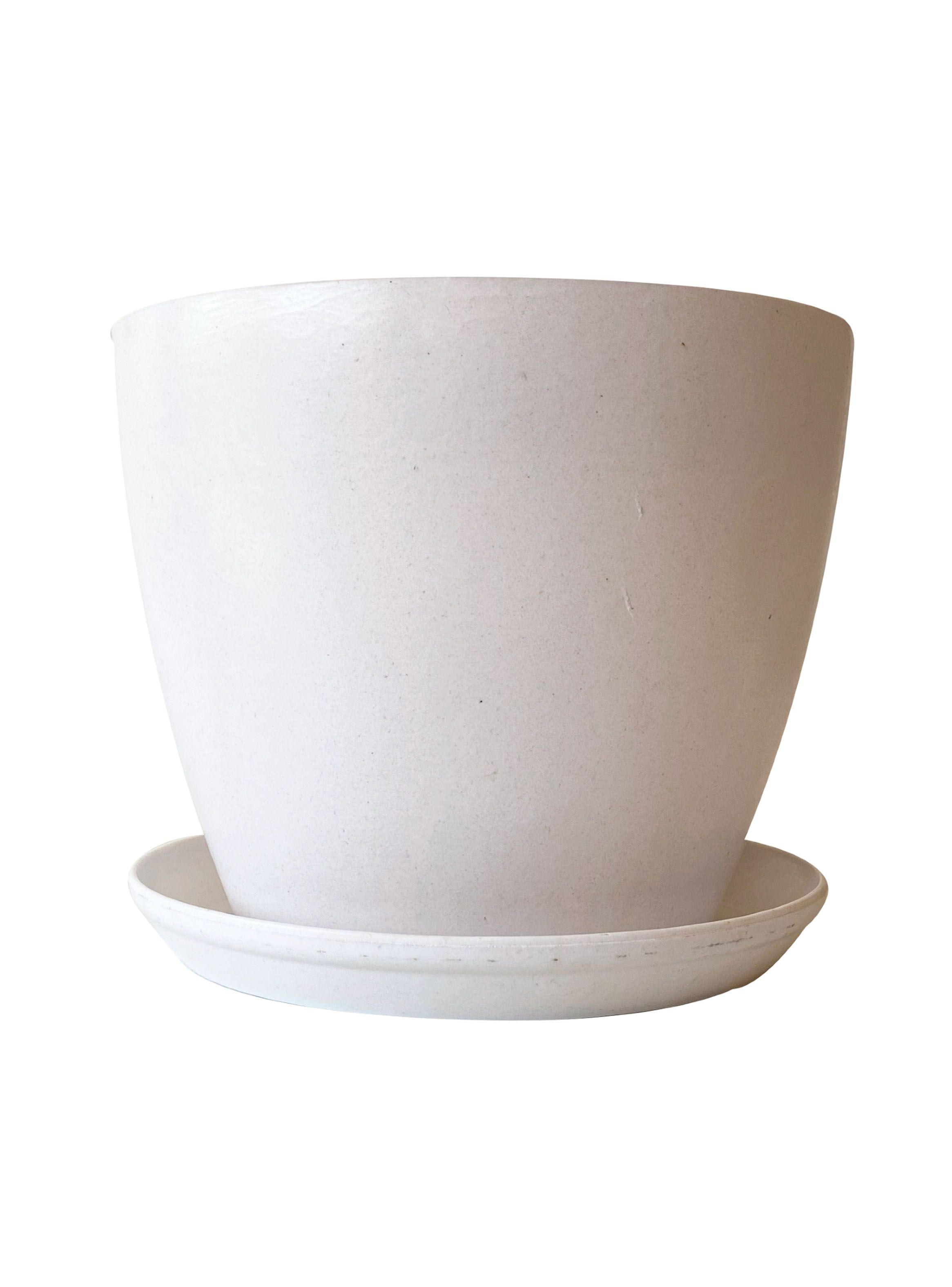Set 2 Maceteros Biodegradables Actual + Platos Blanco-1
