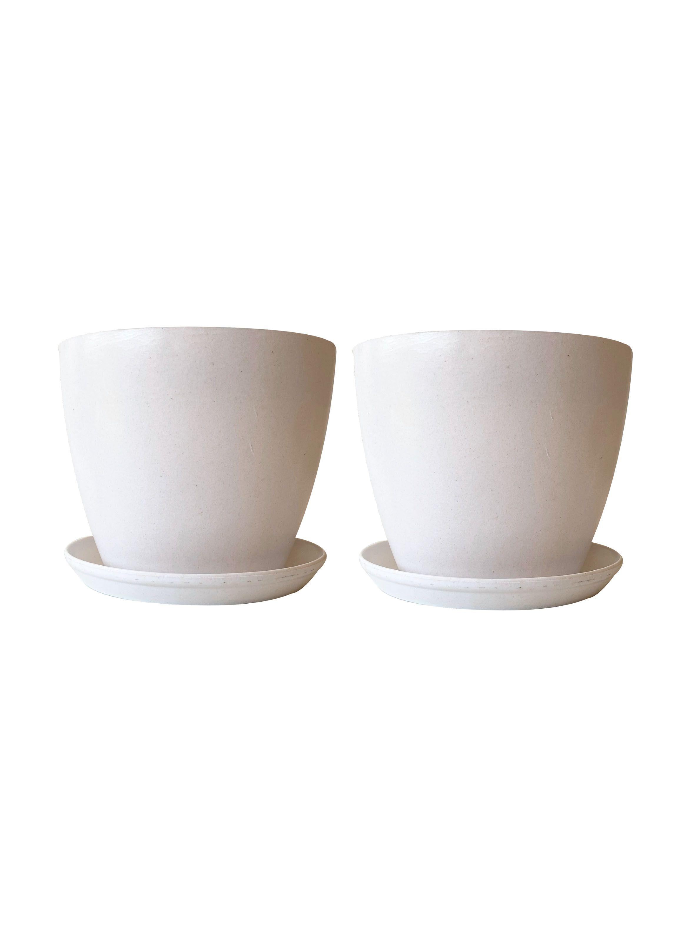 Set 2 Maceteros Biodegradables Actual + Platos Blanco-0