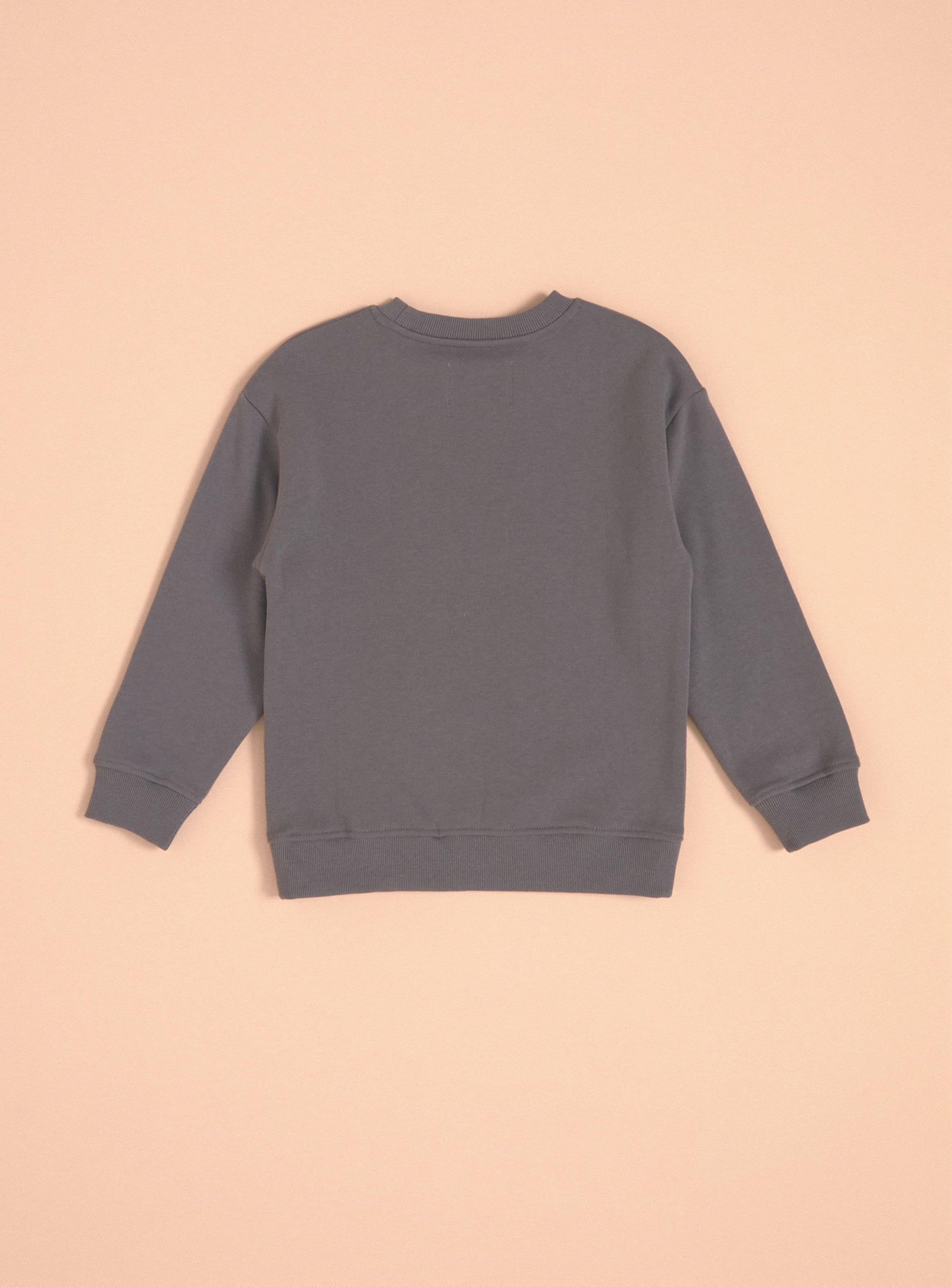 Polerón Fleece Crew Estampado Flock-3