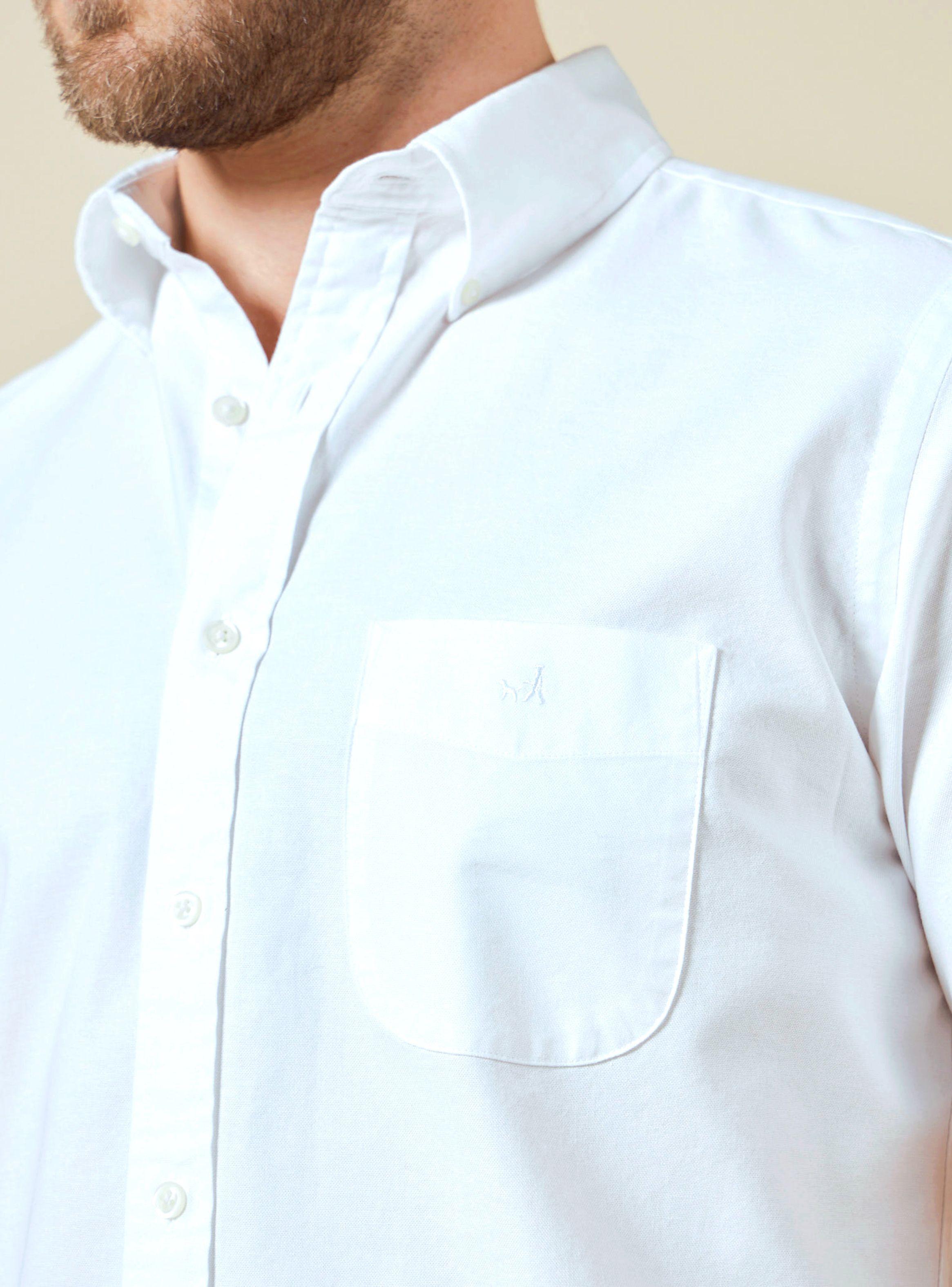 Camisa Sport Lisa Regular Algodón-2