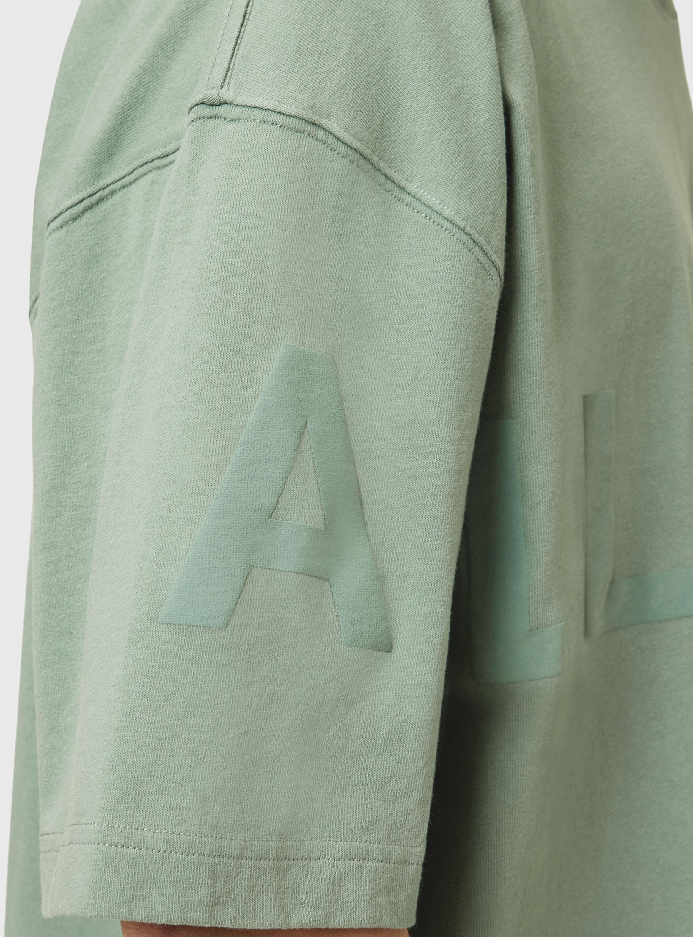 Polera Biggy SS Crew-3