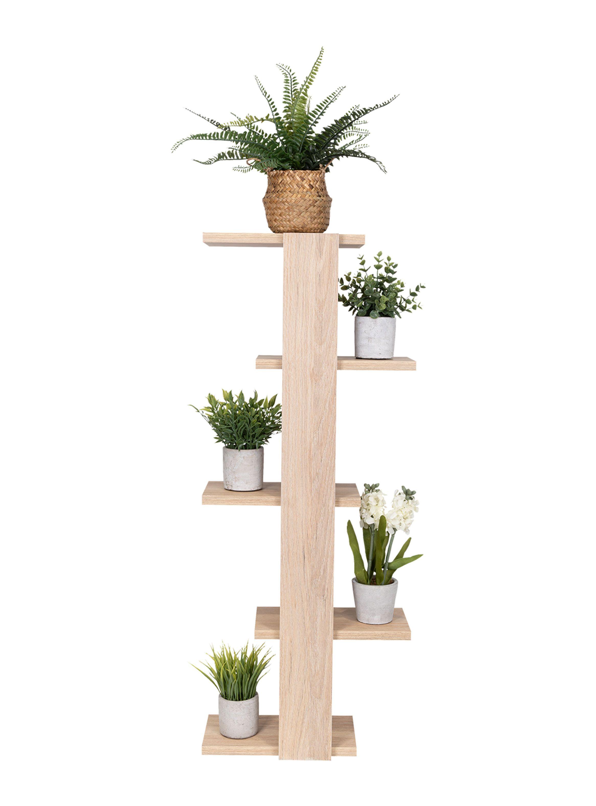 Repisa para Plantas Molly-4