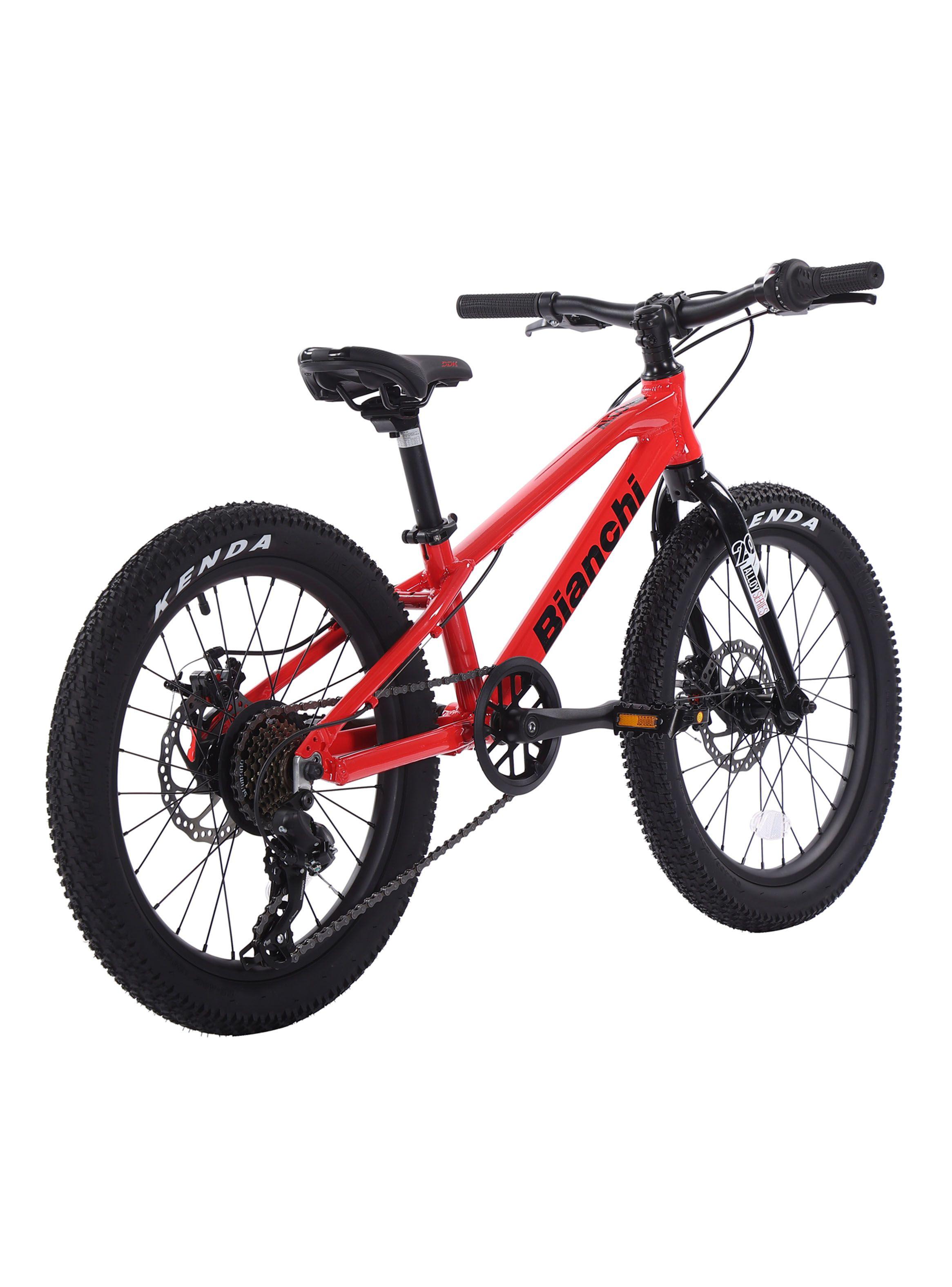 Bicicleta de Niños Alloy Aro 20"-3