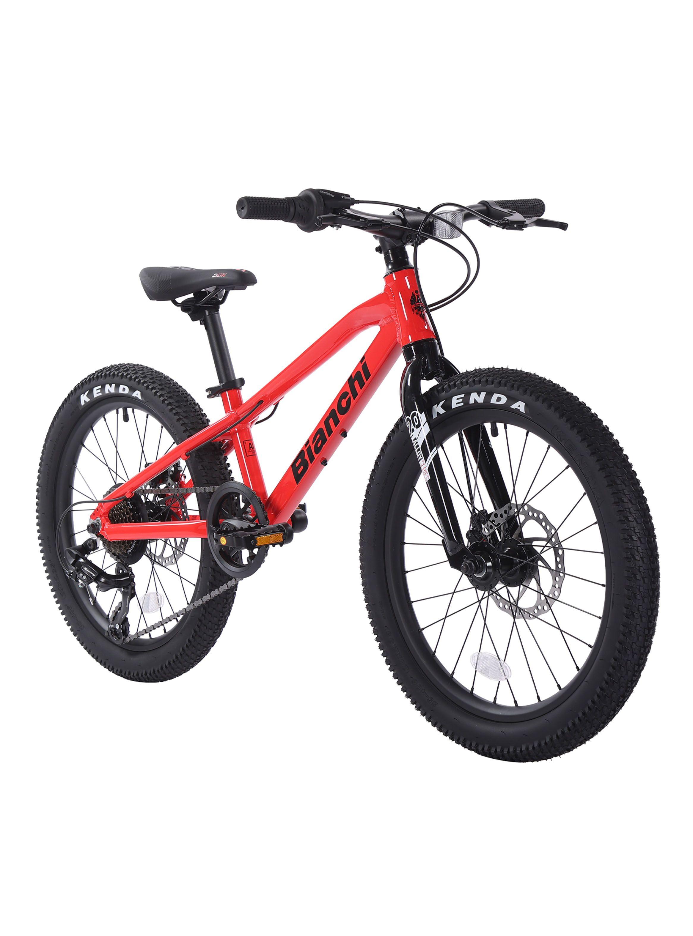 Bicicleta de Niños Alloy Aro 20"-1