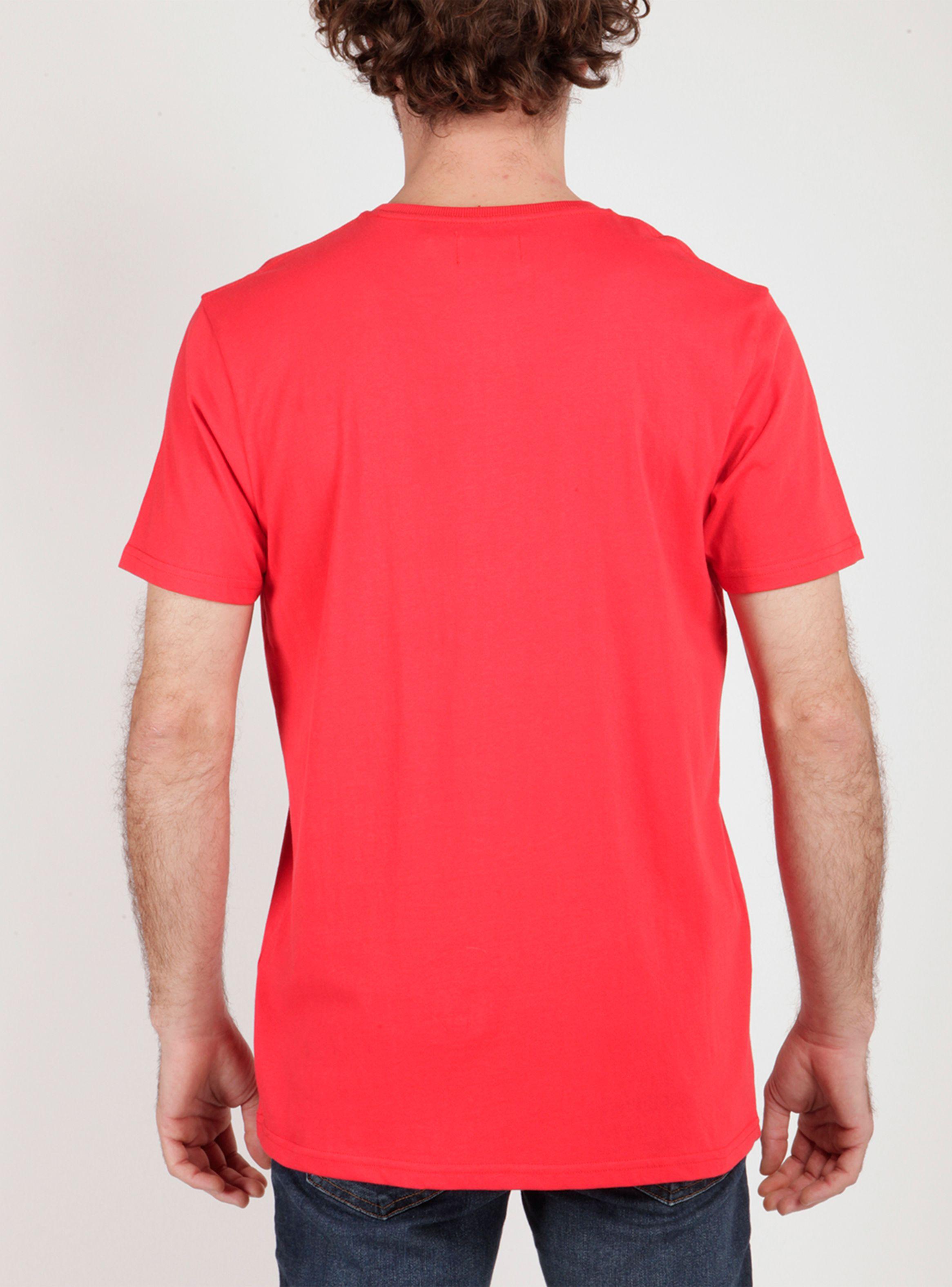 Pack Polera Full Estampado-2